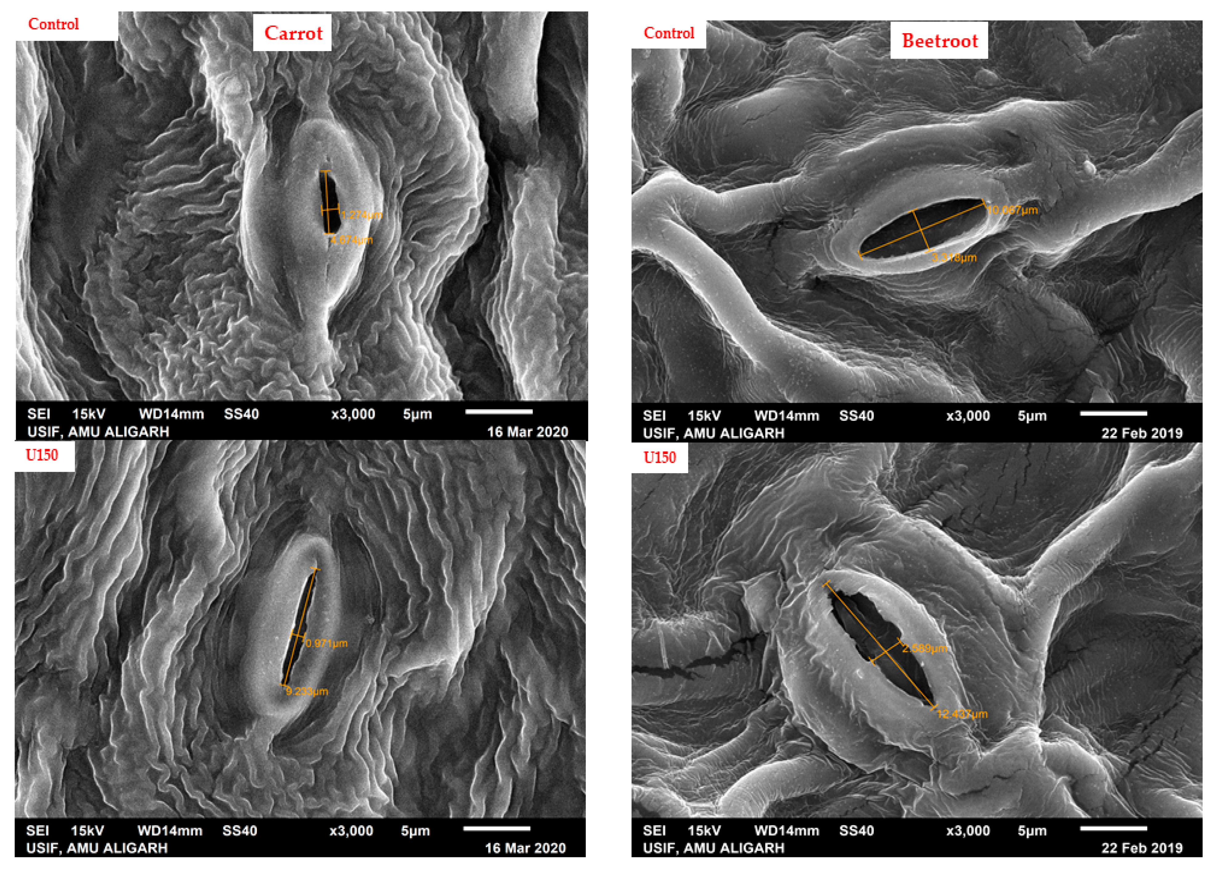 Agriculture 11 00704 g003