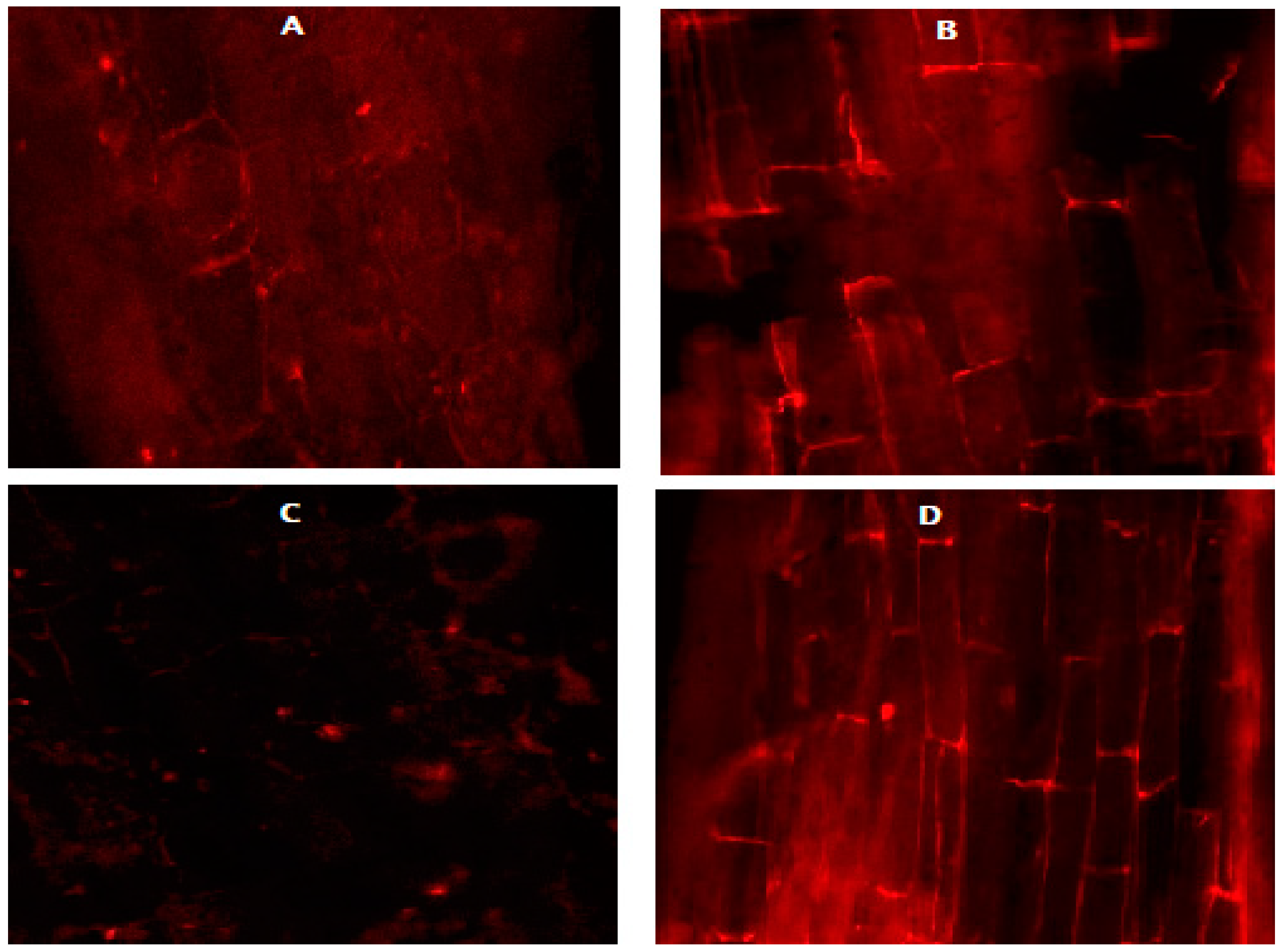 Agriculture 11 00704 g010
