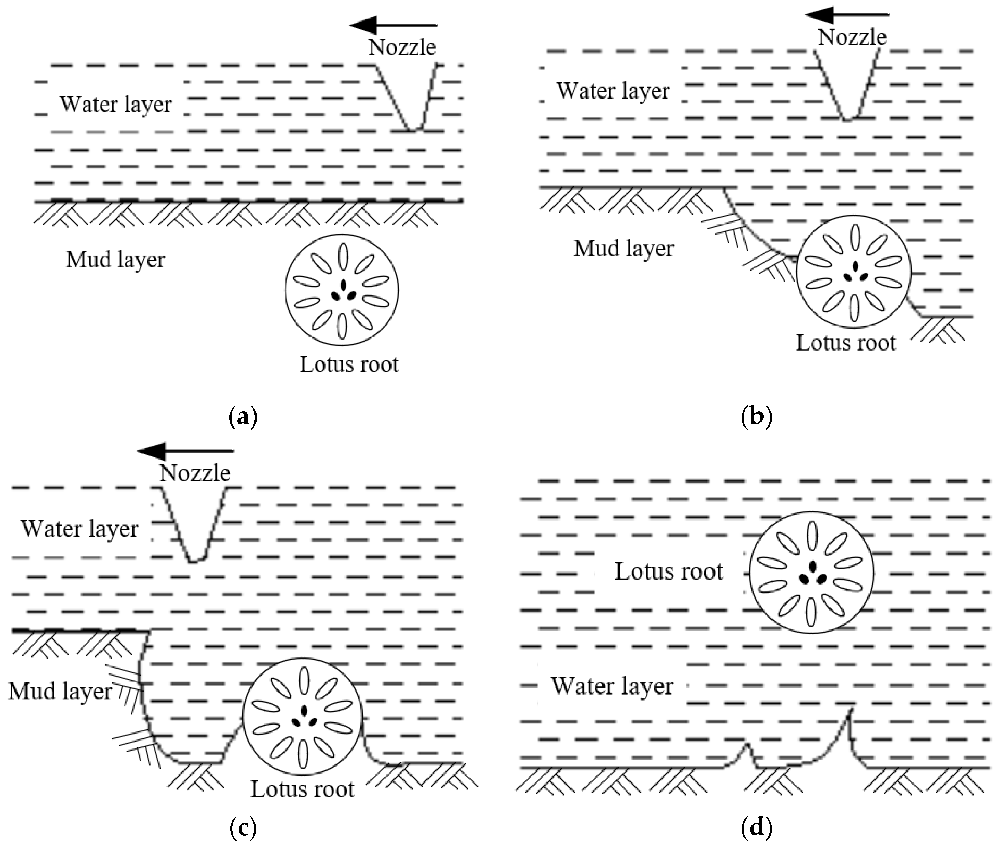 Agriculture 11 00706 g001 550
