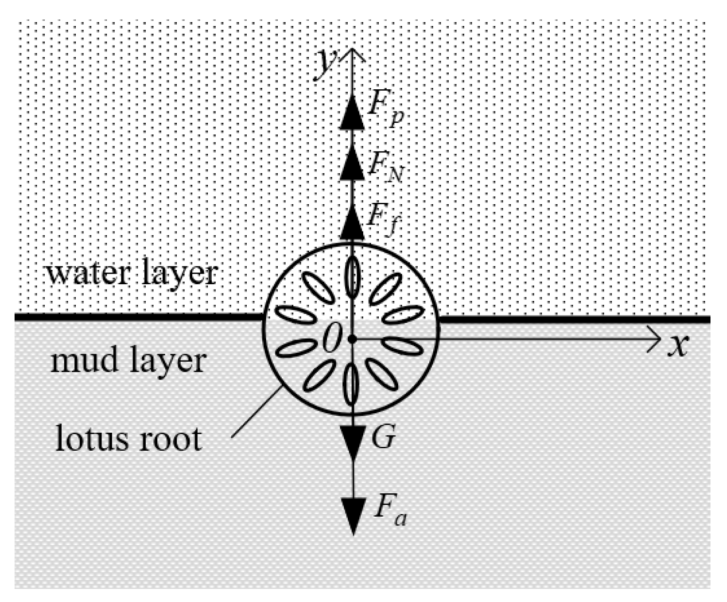 Agriculture 11 00706 g002 550