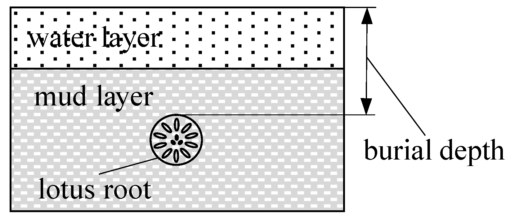 Agriculture 11 00706 g004 550