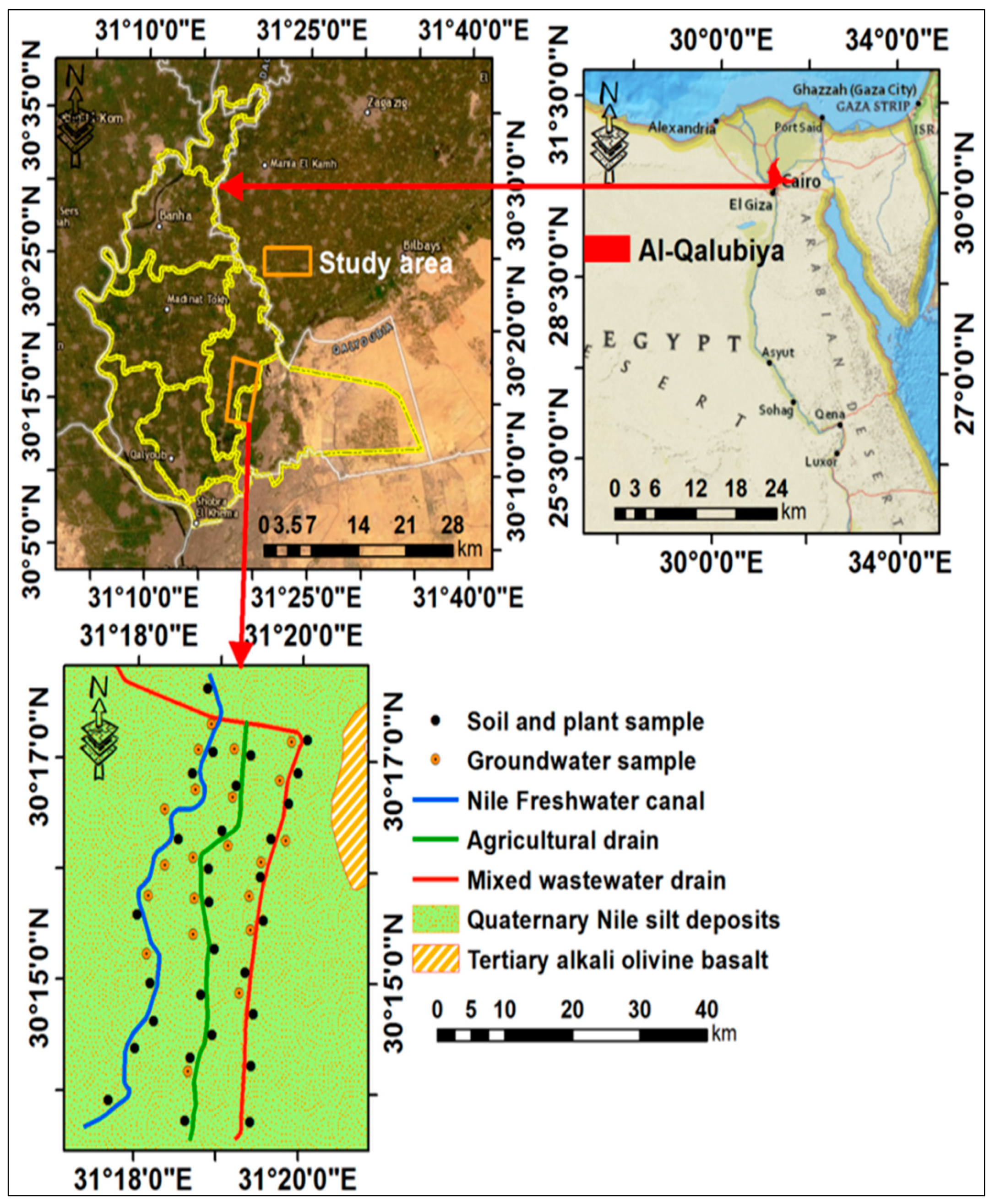 Agriculture 11 00713 g001