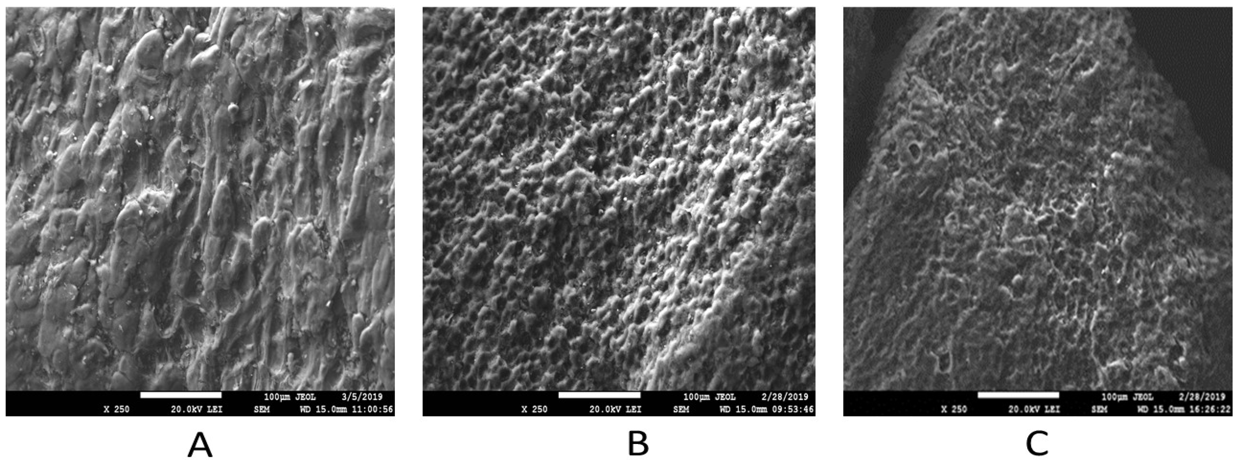 Agriculture 11 00714 g001