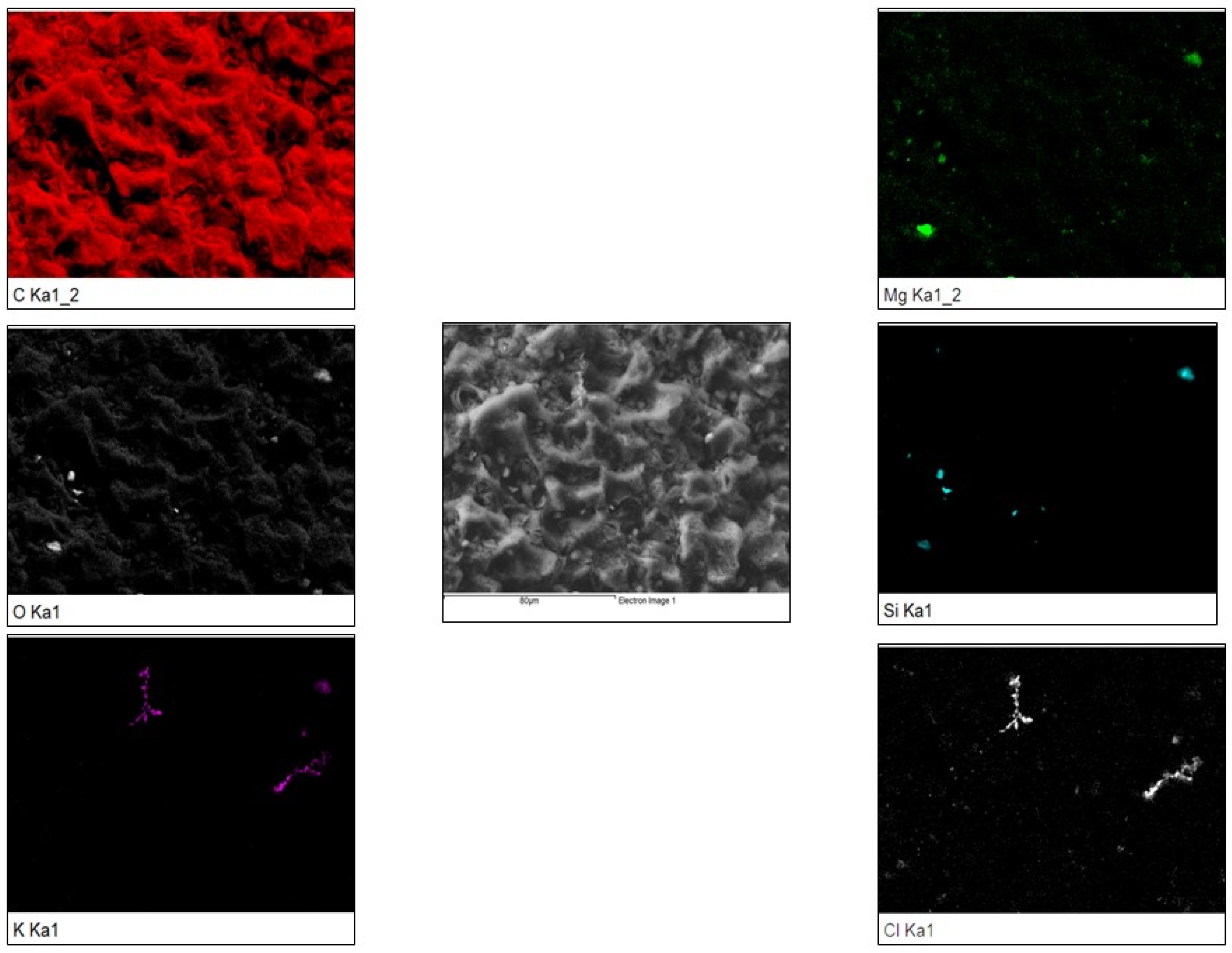 Agriculture 11 00714 g002