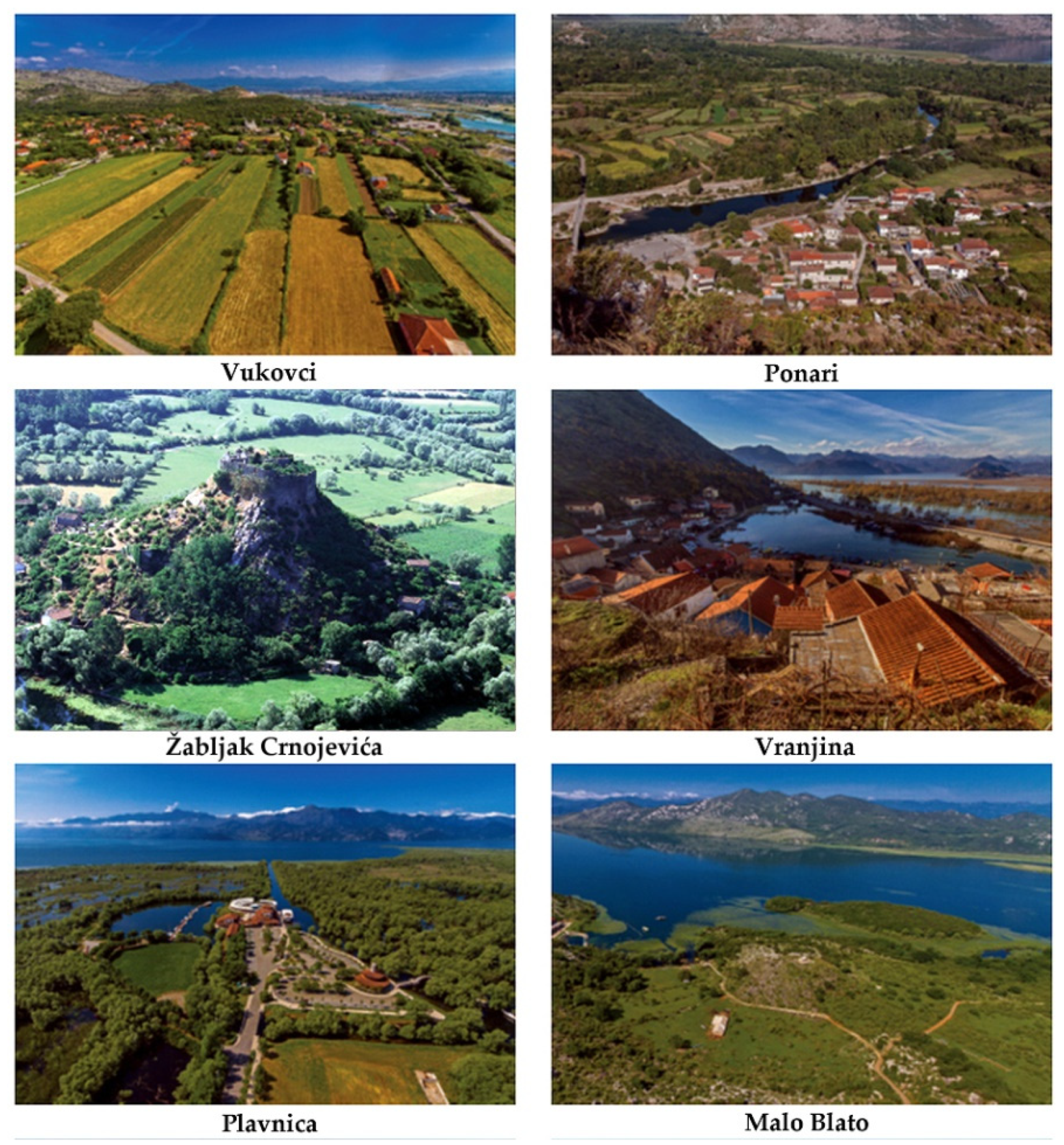 Agriculture 11 00717 g003 550