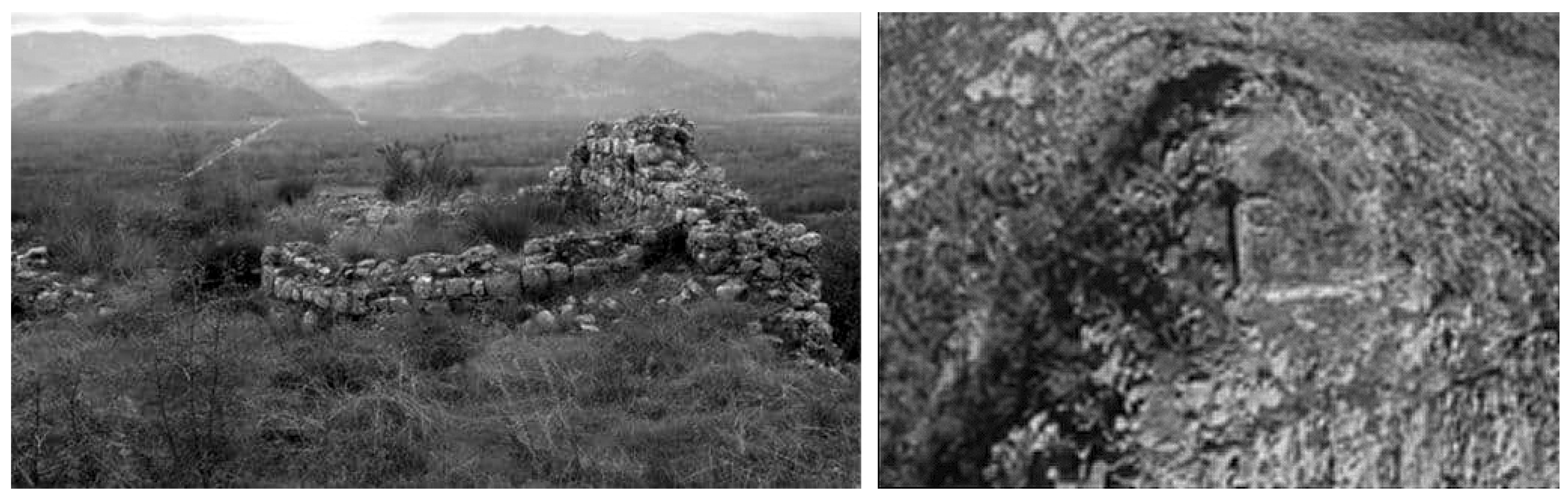 Agriculture 11 00717 g004 550