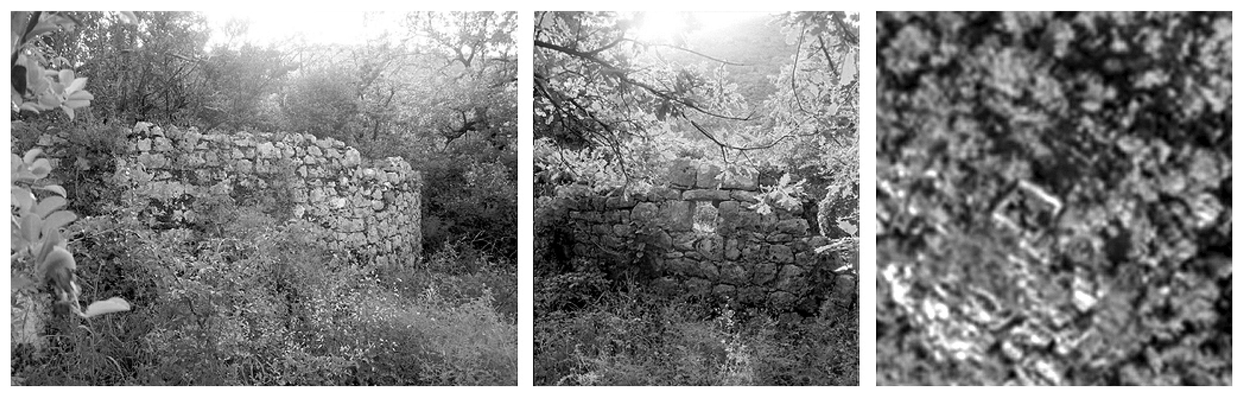 Agriculture 11 00717 g005 550