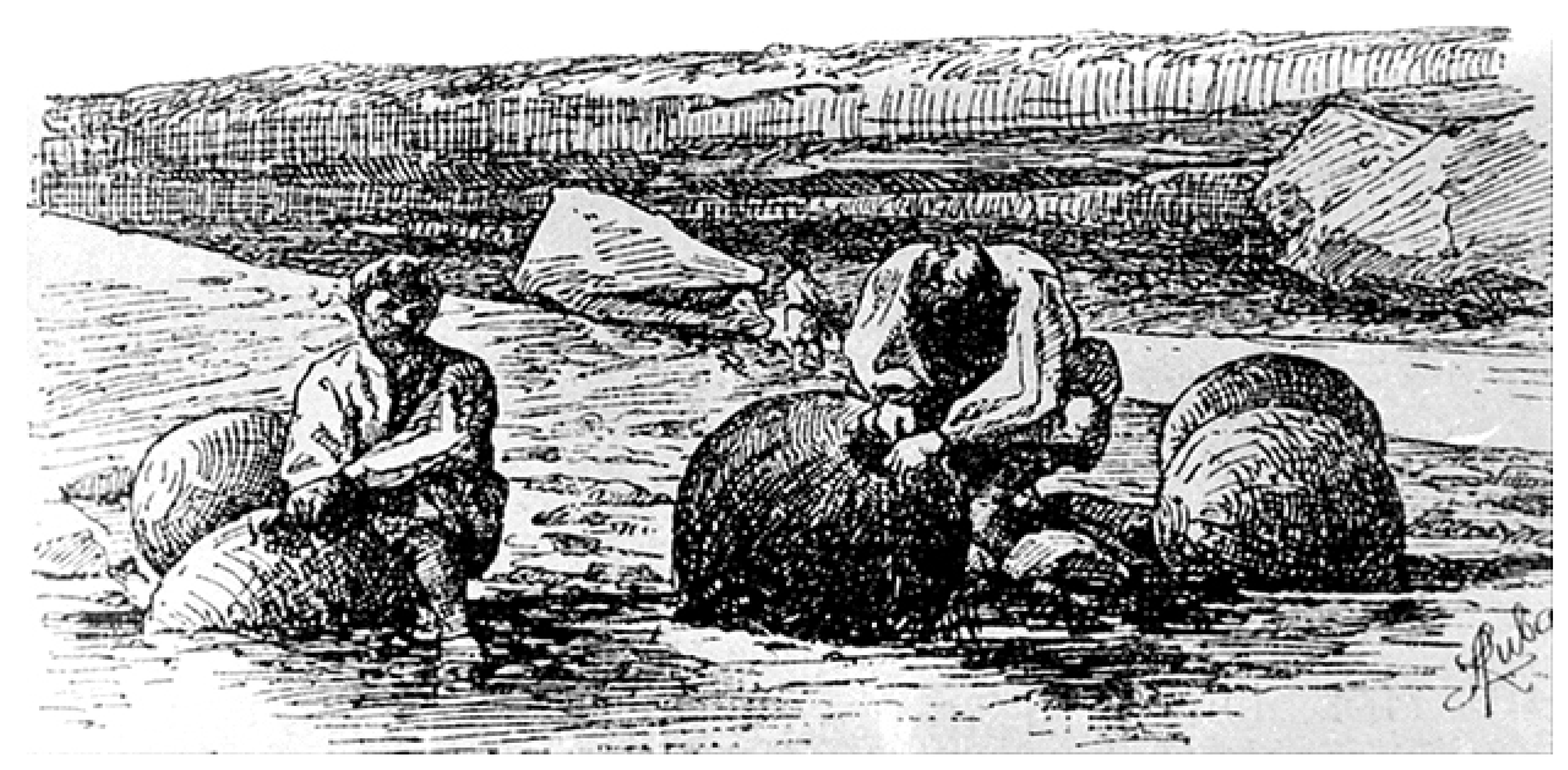 Agriculture 11 00717 g009 550