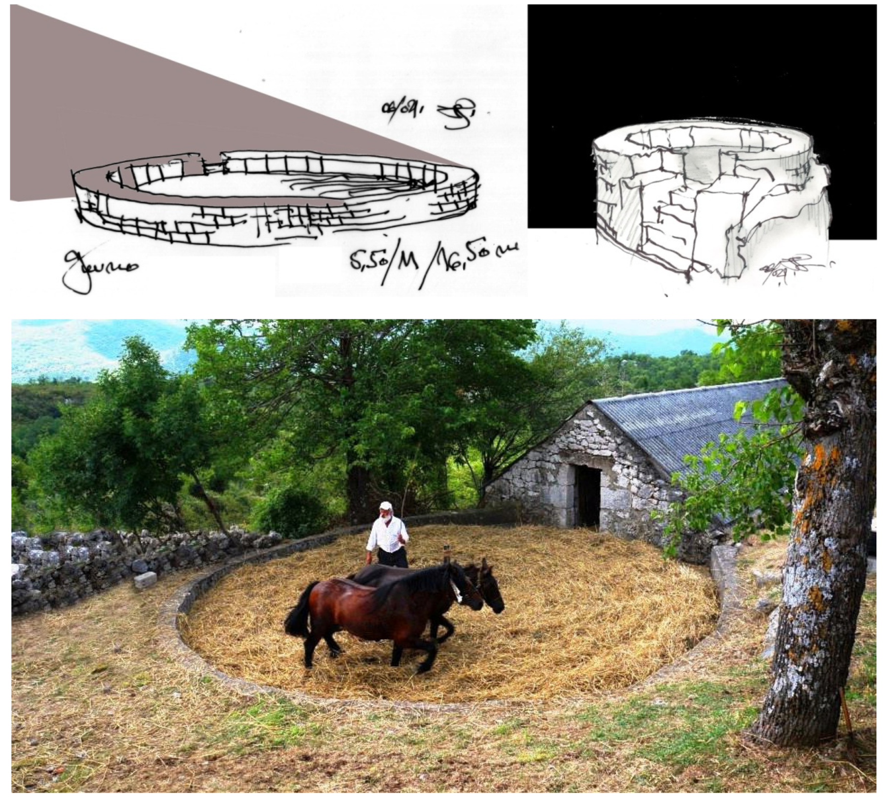 Agriculture 11 00717 g011 550