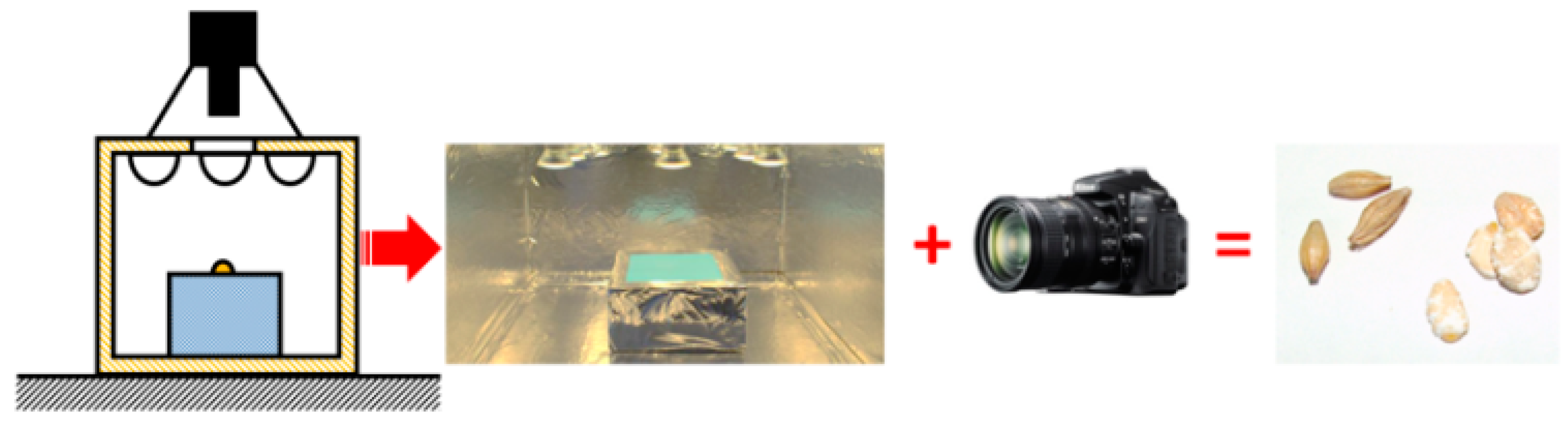 Agriculture 11 00732 g002