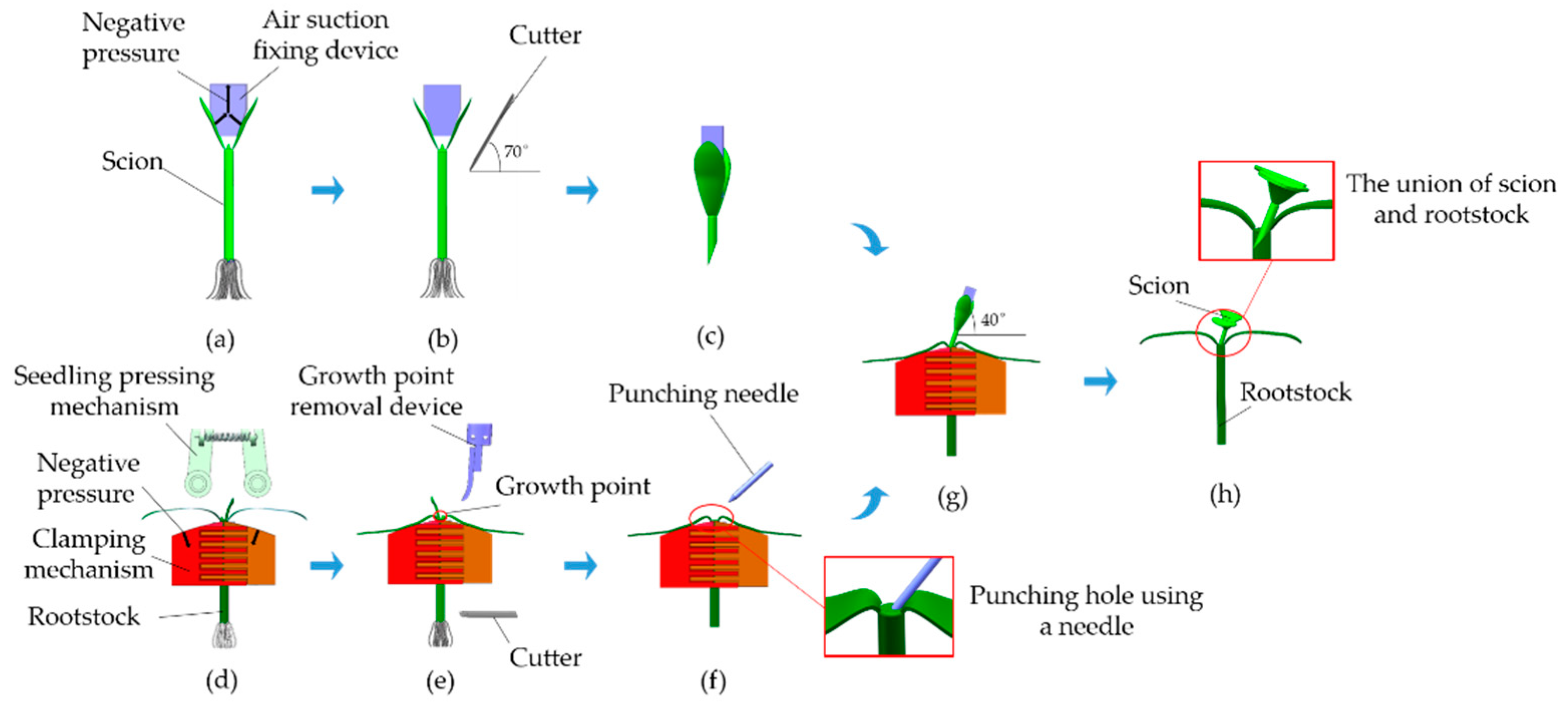 Agriculture 11 00736 g002 550