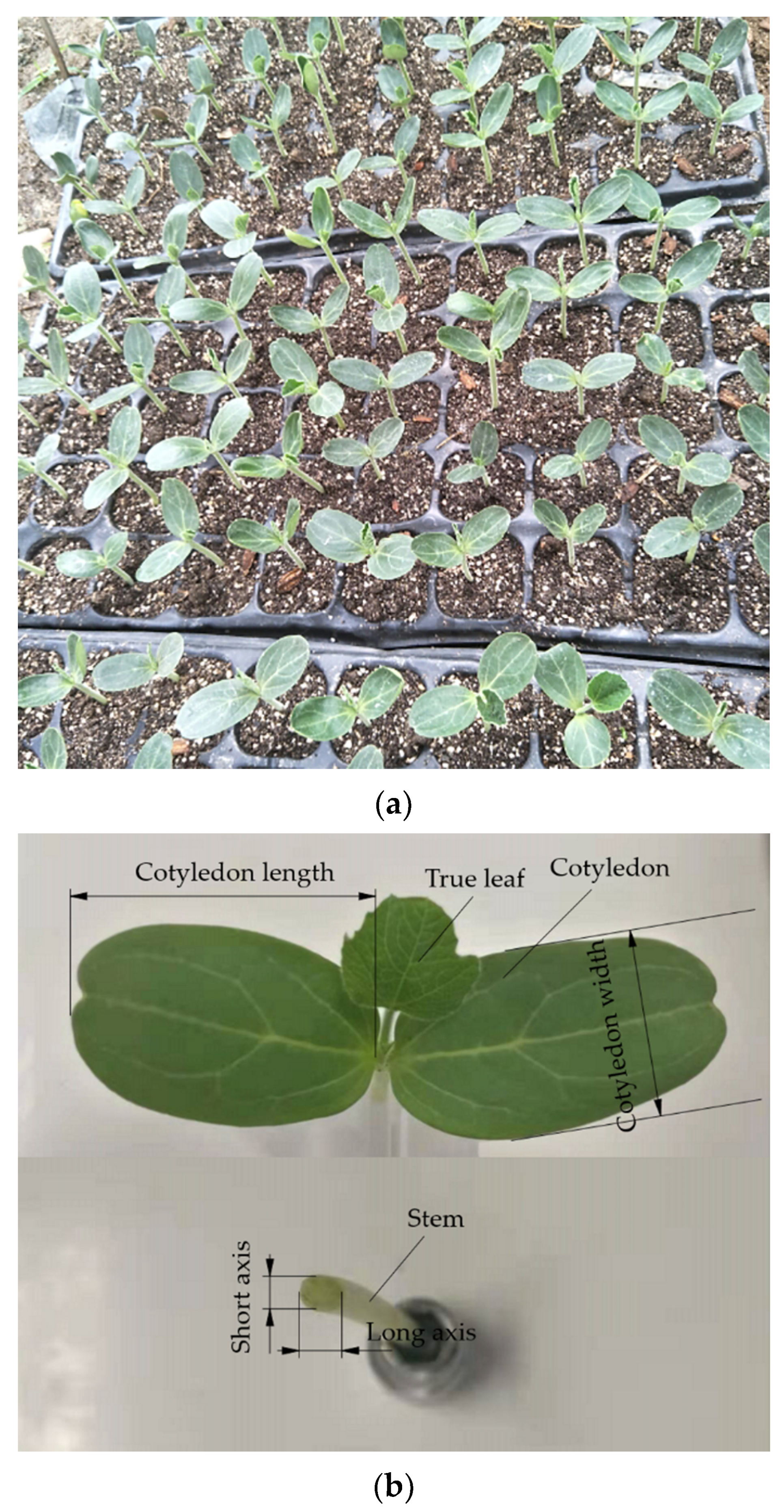 Agriculture 11 00736 g008 550