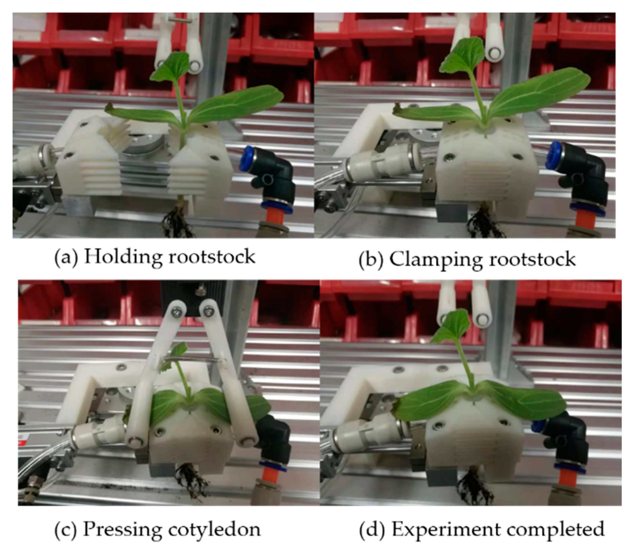 Agriculture 11 00736 g009 550