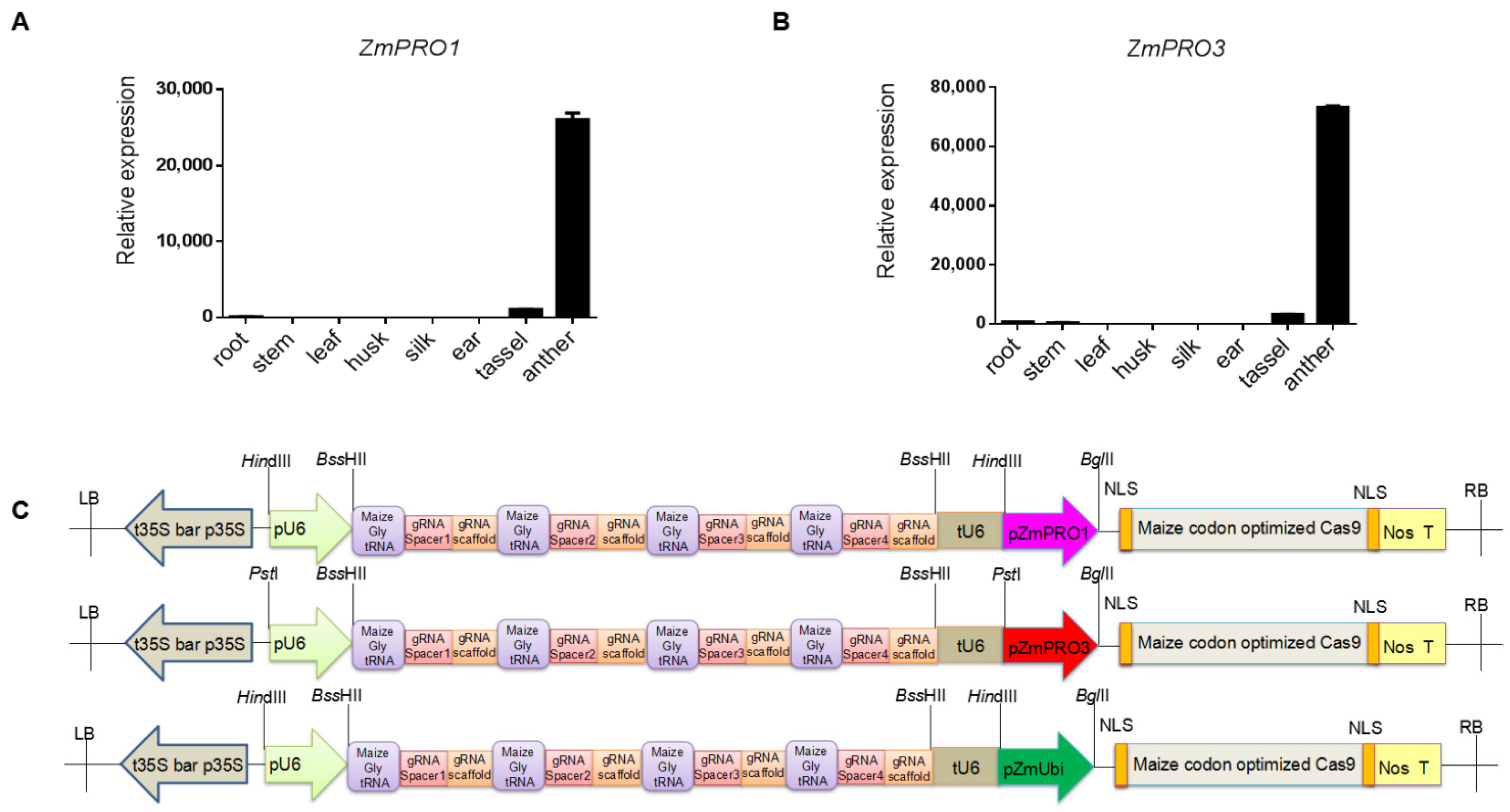Agriculture 11 00751 g001