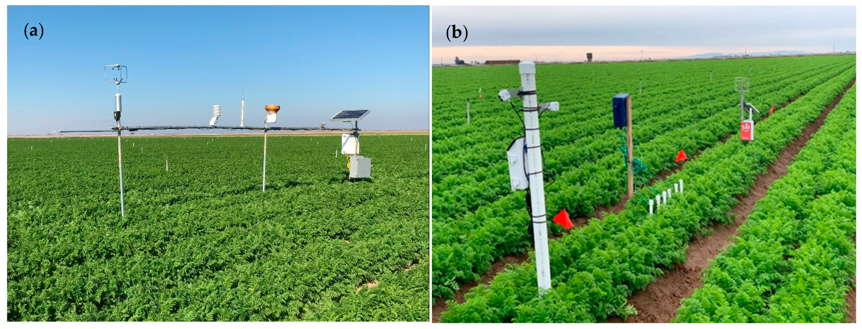 Agriculture 11 00752 g002