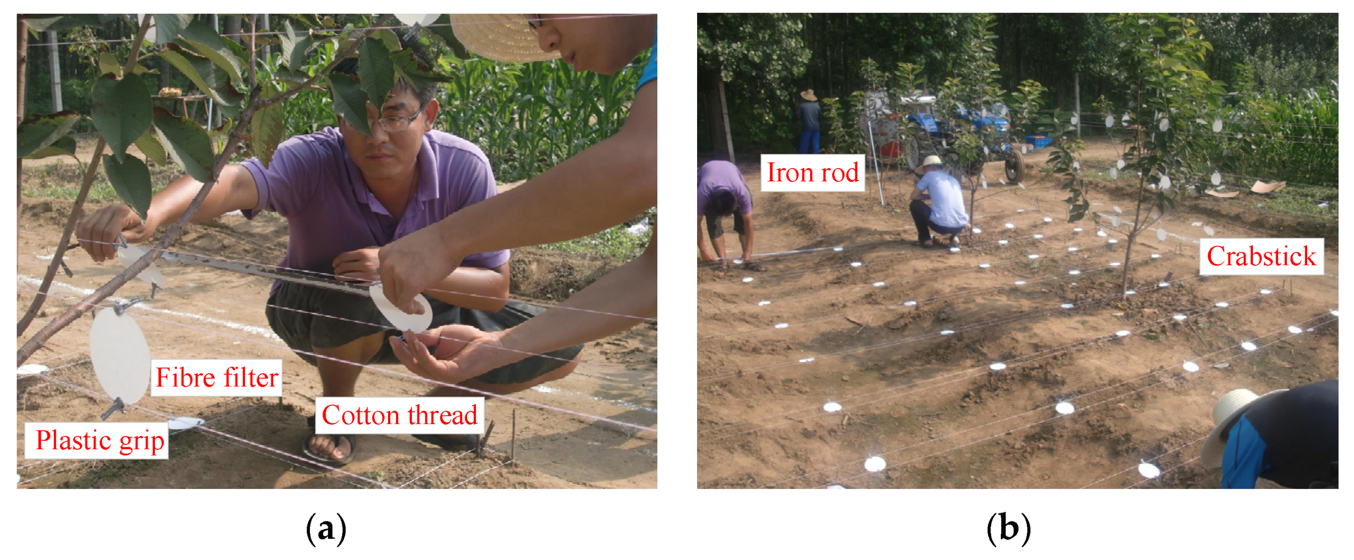 Agriculture 11 00753 g007