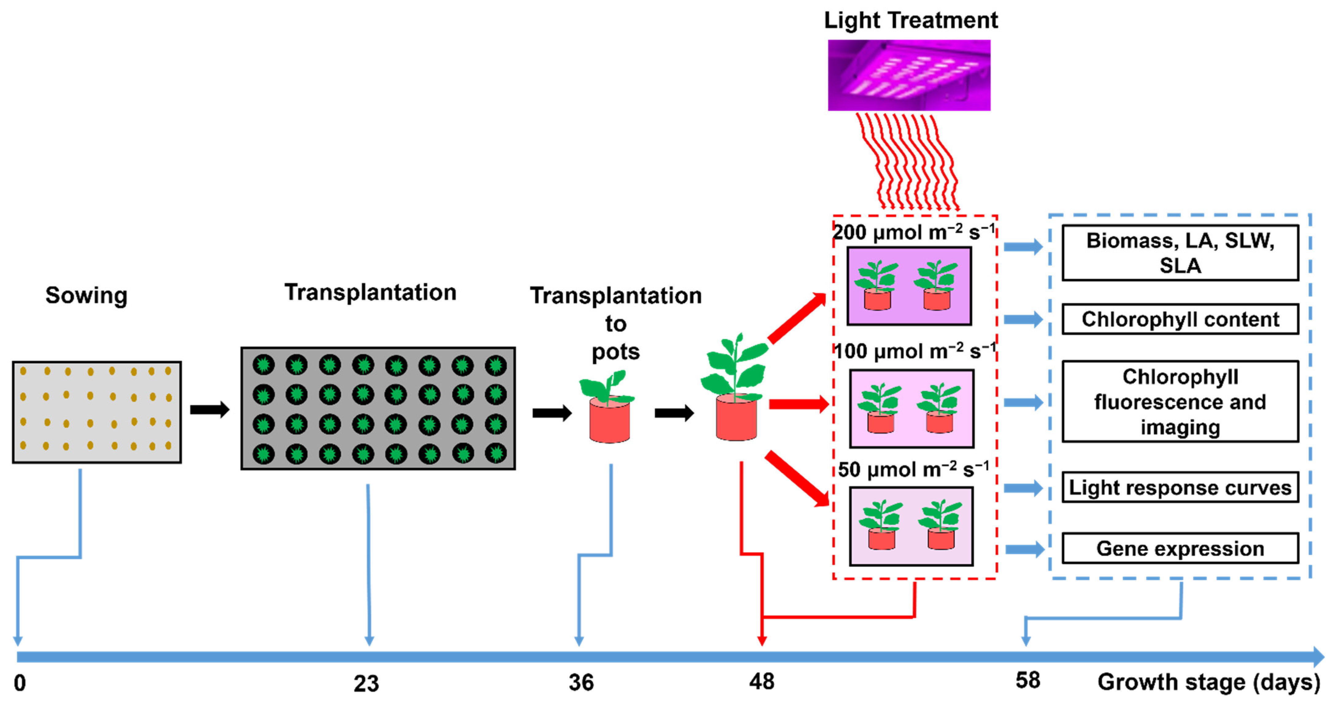 Agriculture 11 00755 g001 550