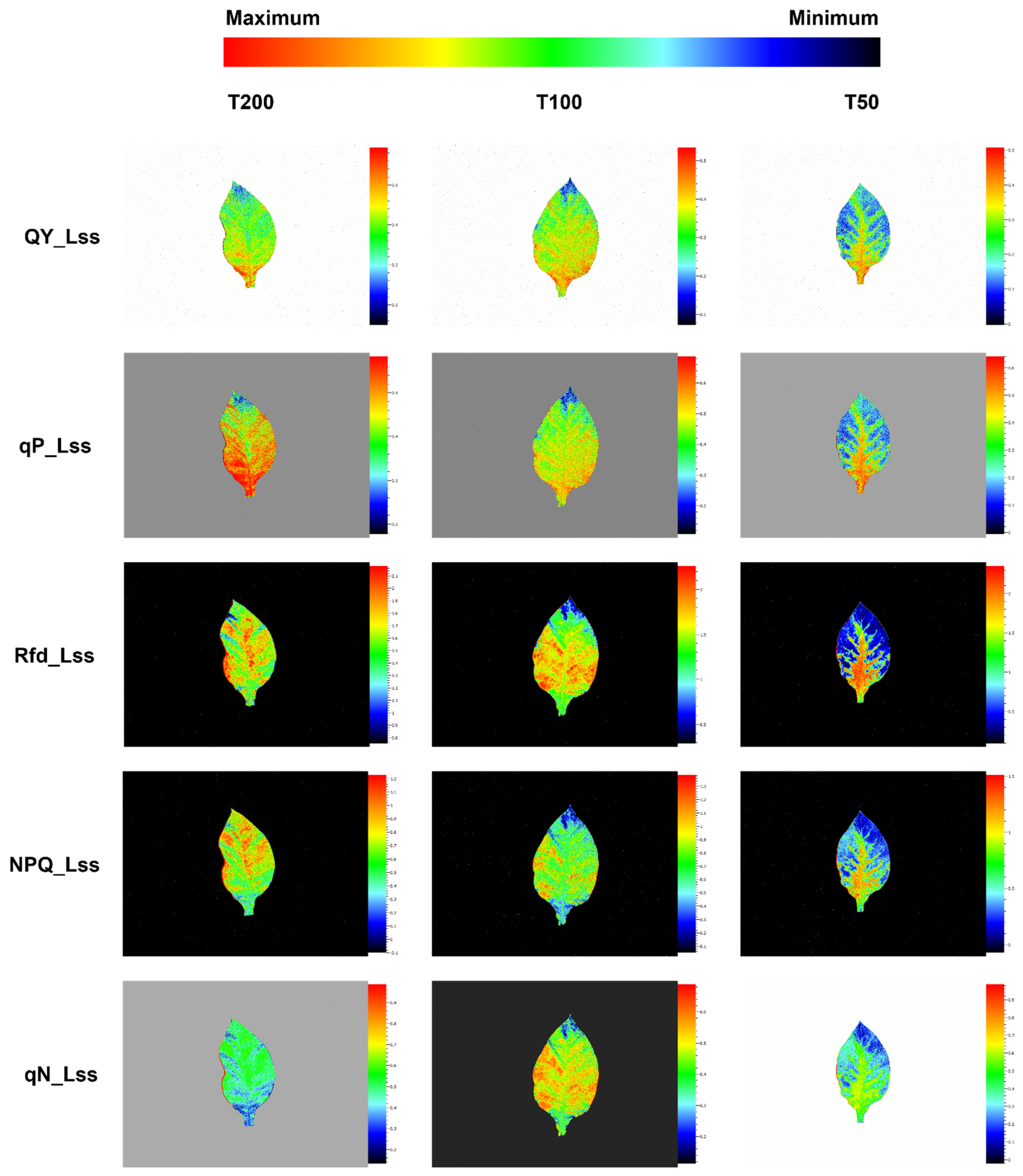 Agriculture 11 00755 g005 550