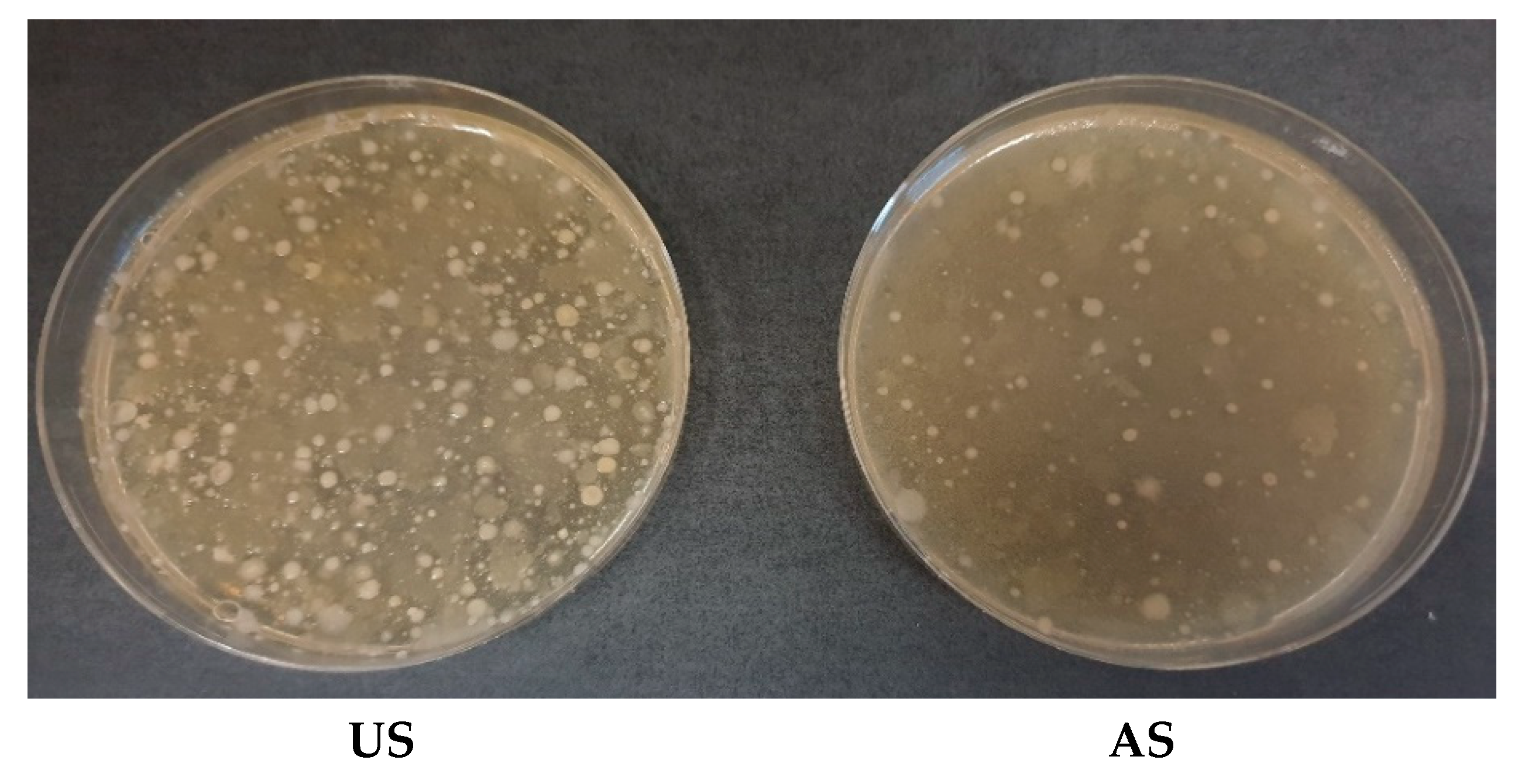 Agriculture 11 00758 g003 550