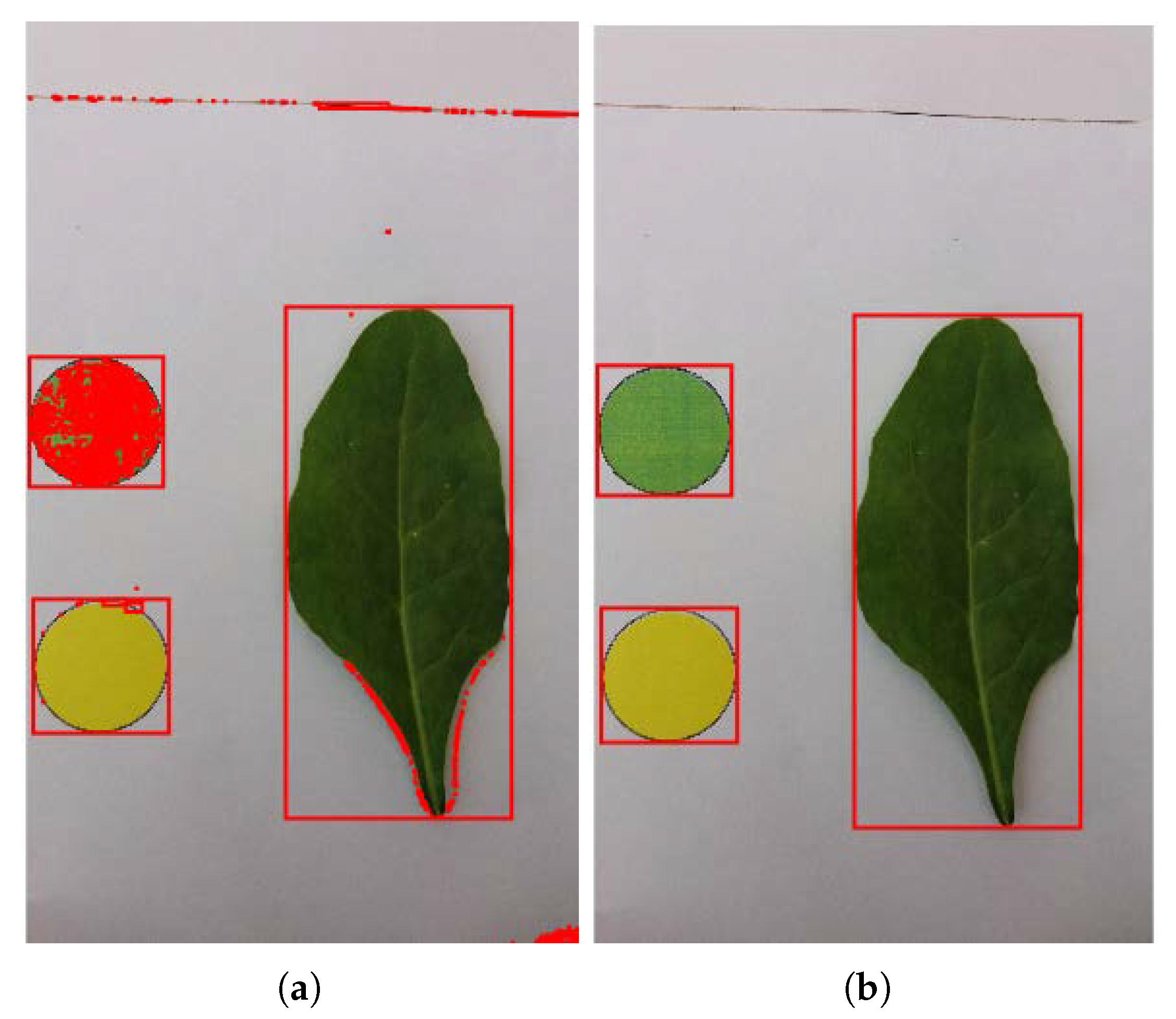 Agriculture 11 00766 g002 550