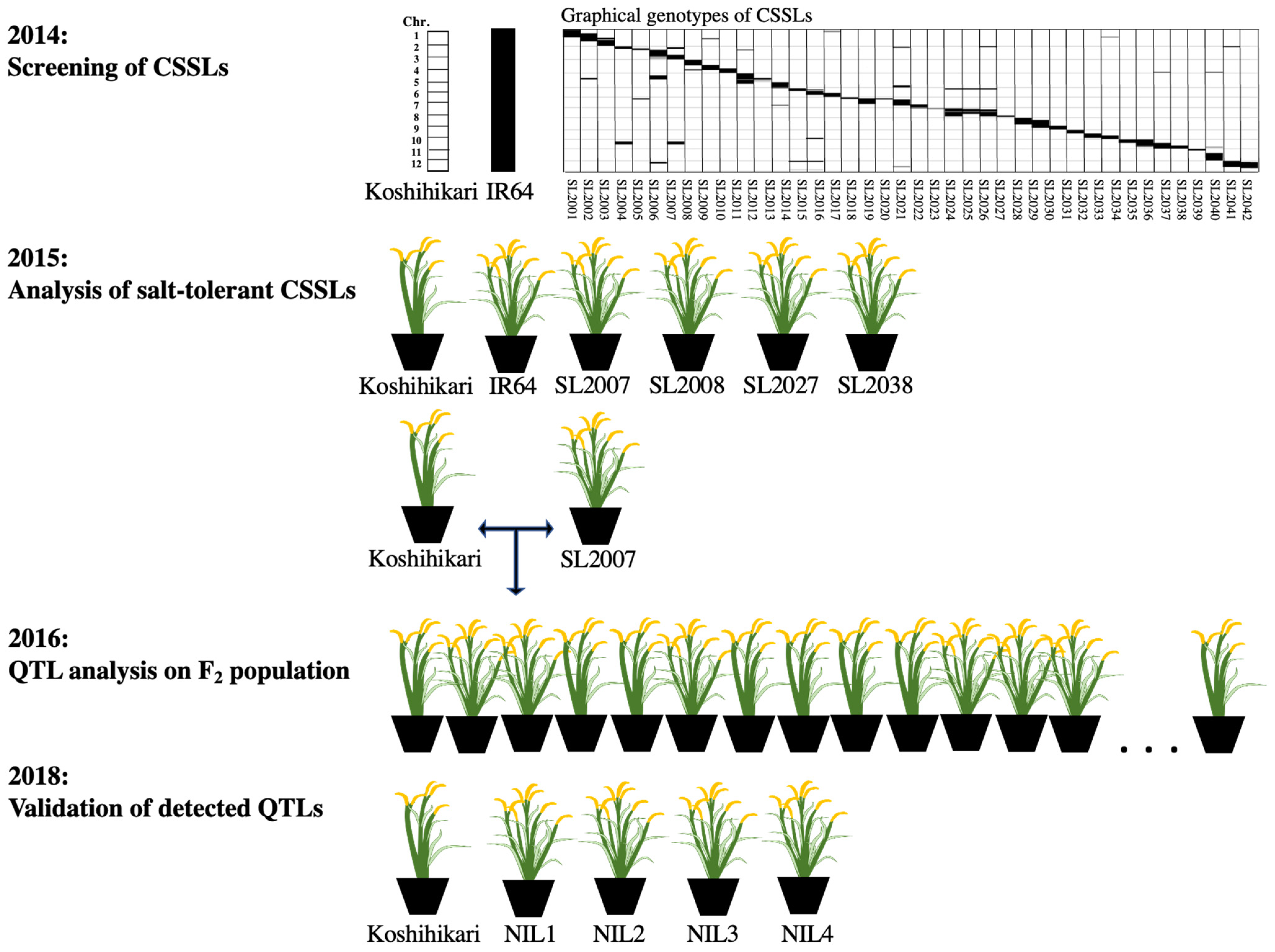 Agriculture 11 00777 g001