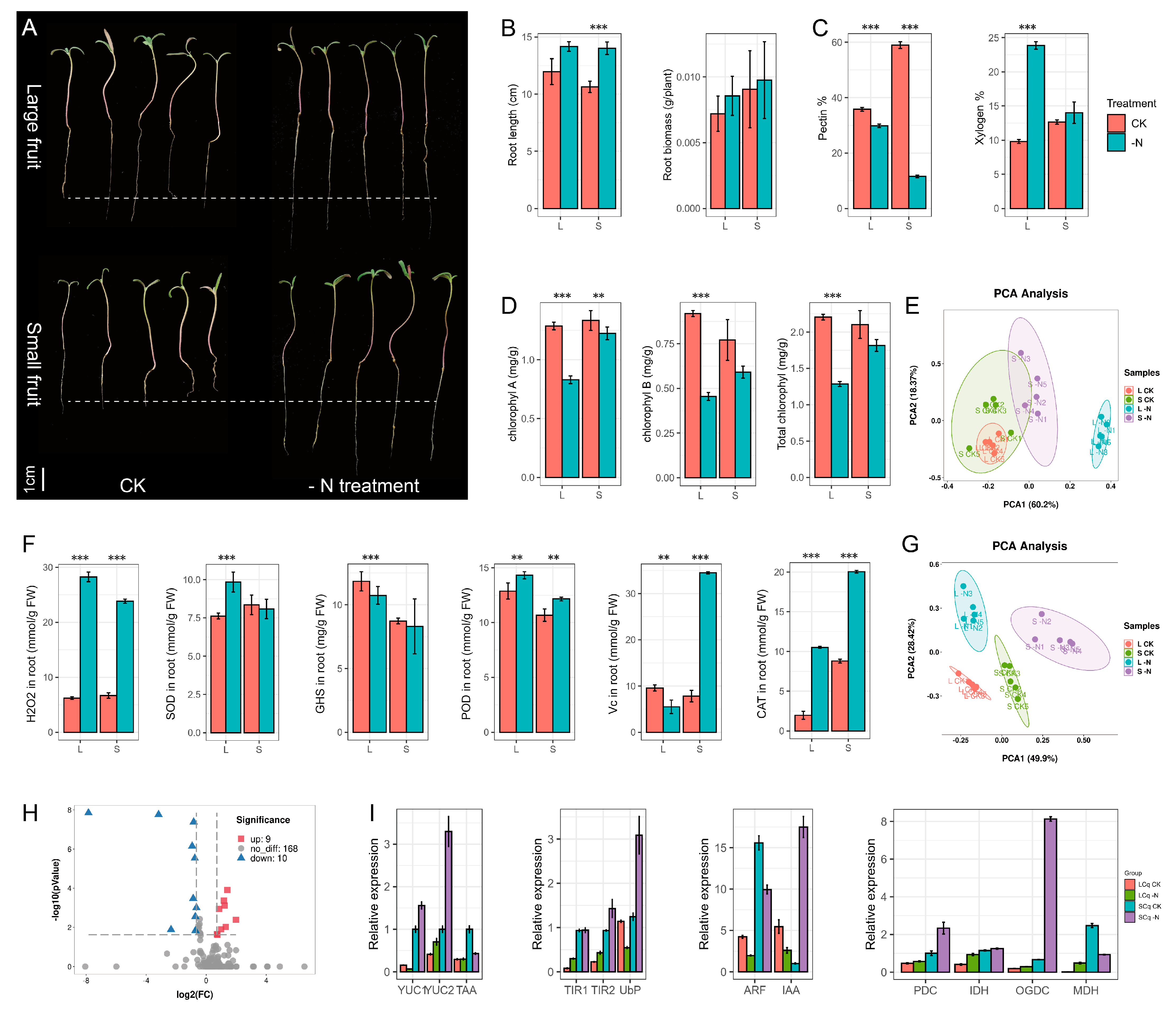Agriculture 11 00780 g006 550