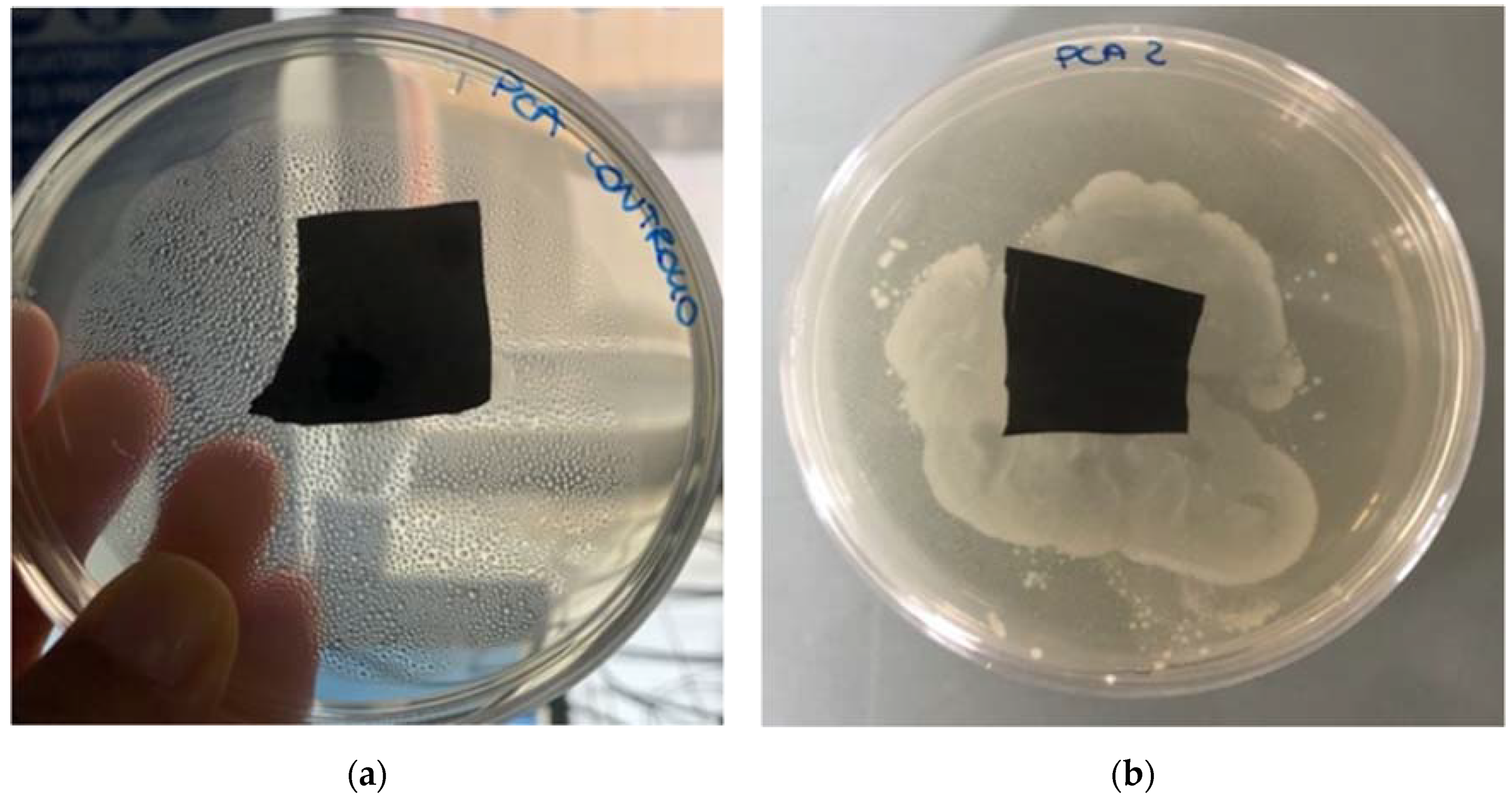 Agriculture 11 00782 g003 550