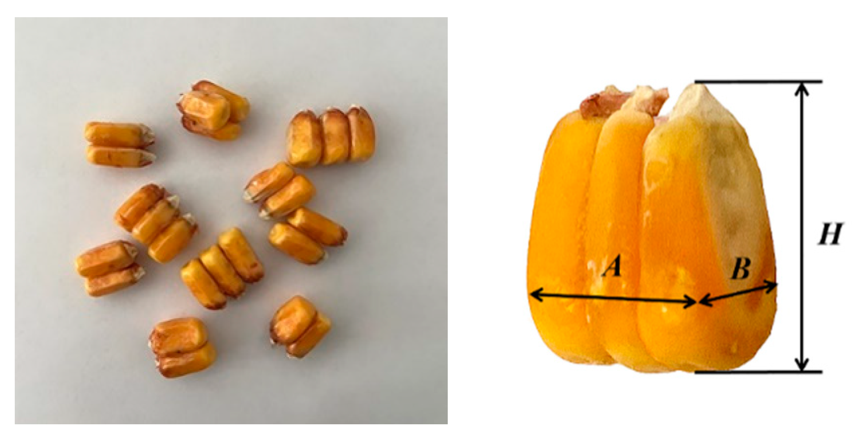 Agriculture 11 00794 g005