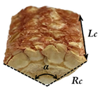 Agriculture 11 00794 i004