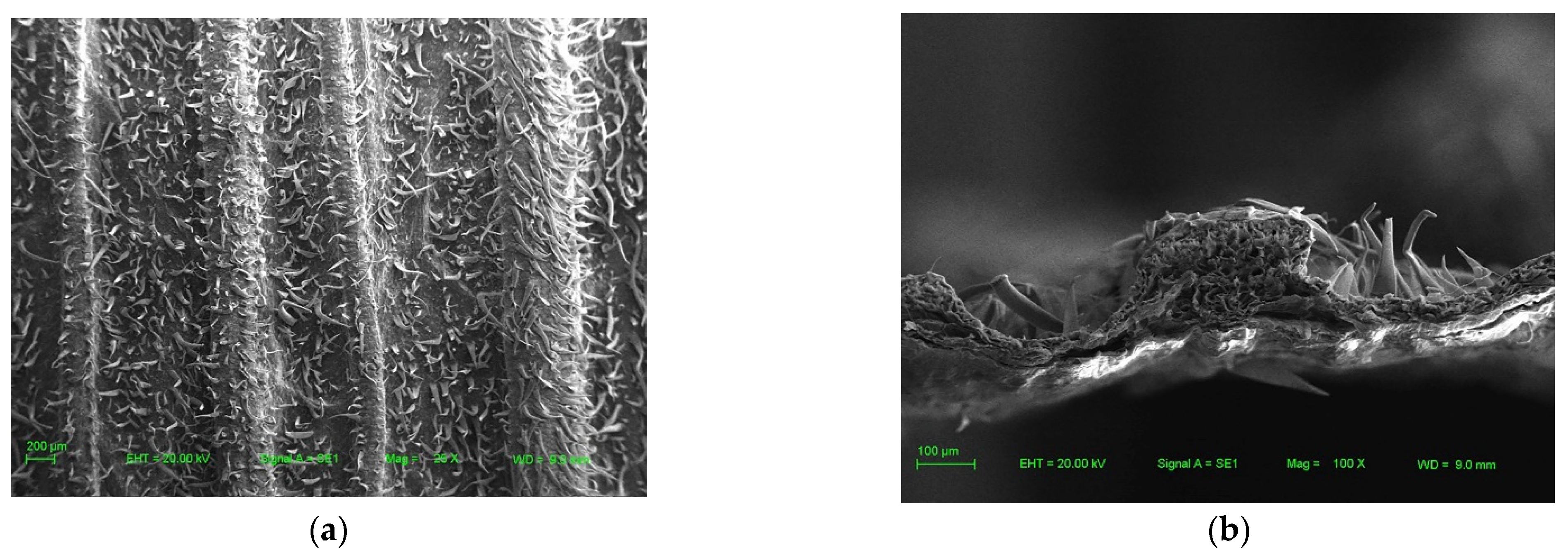 Agriculture 11 00796 g008 550