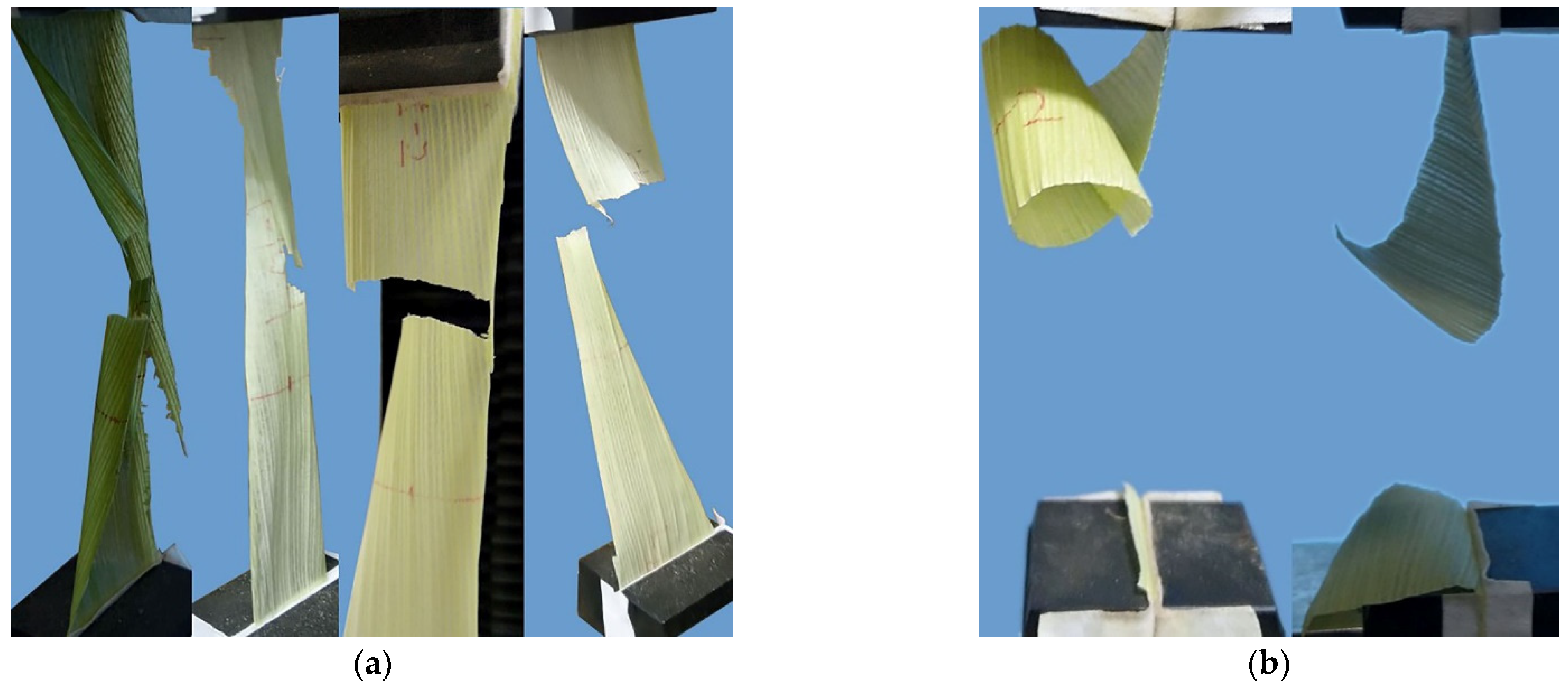 Agriculture 11 00796 g009 550