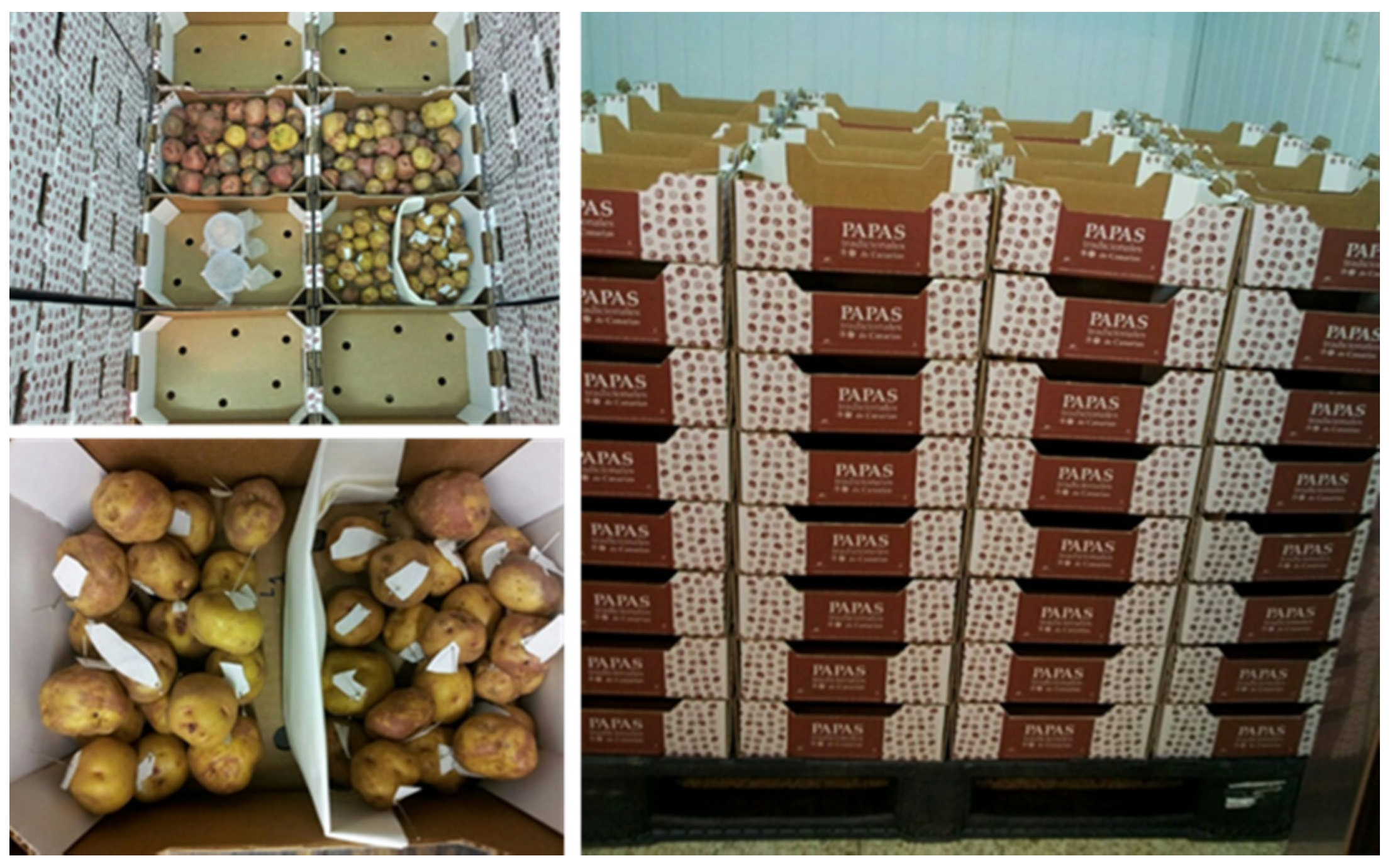 Agriculture 11 00801 g001