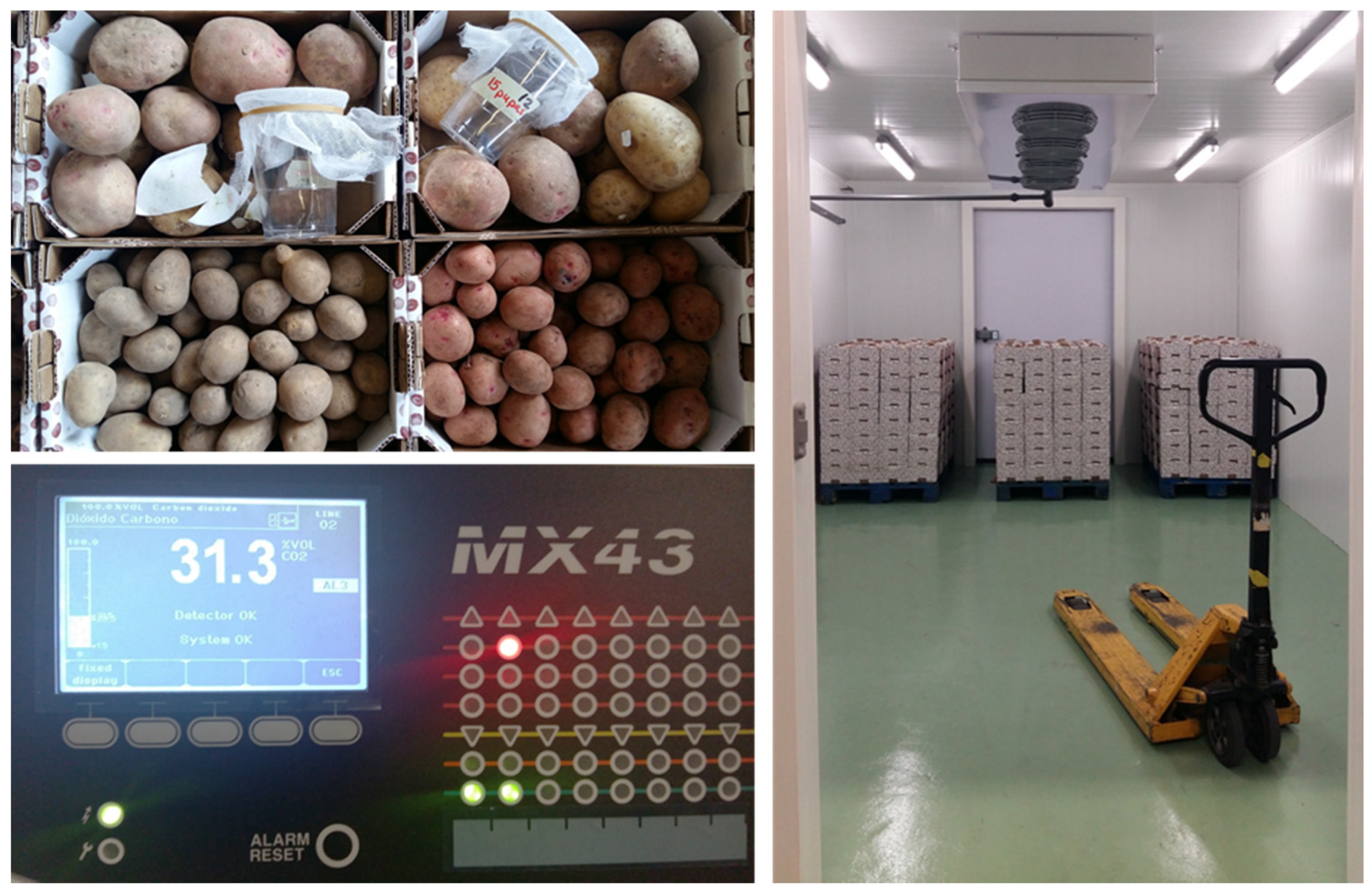 Agriculture 11 00801 g002