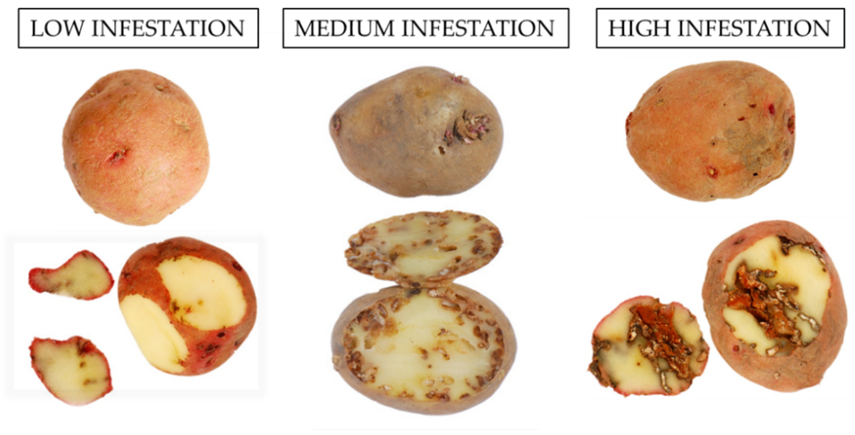 Agriculture 11 00801 g004