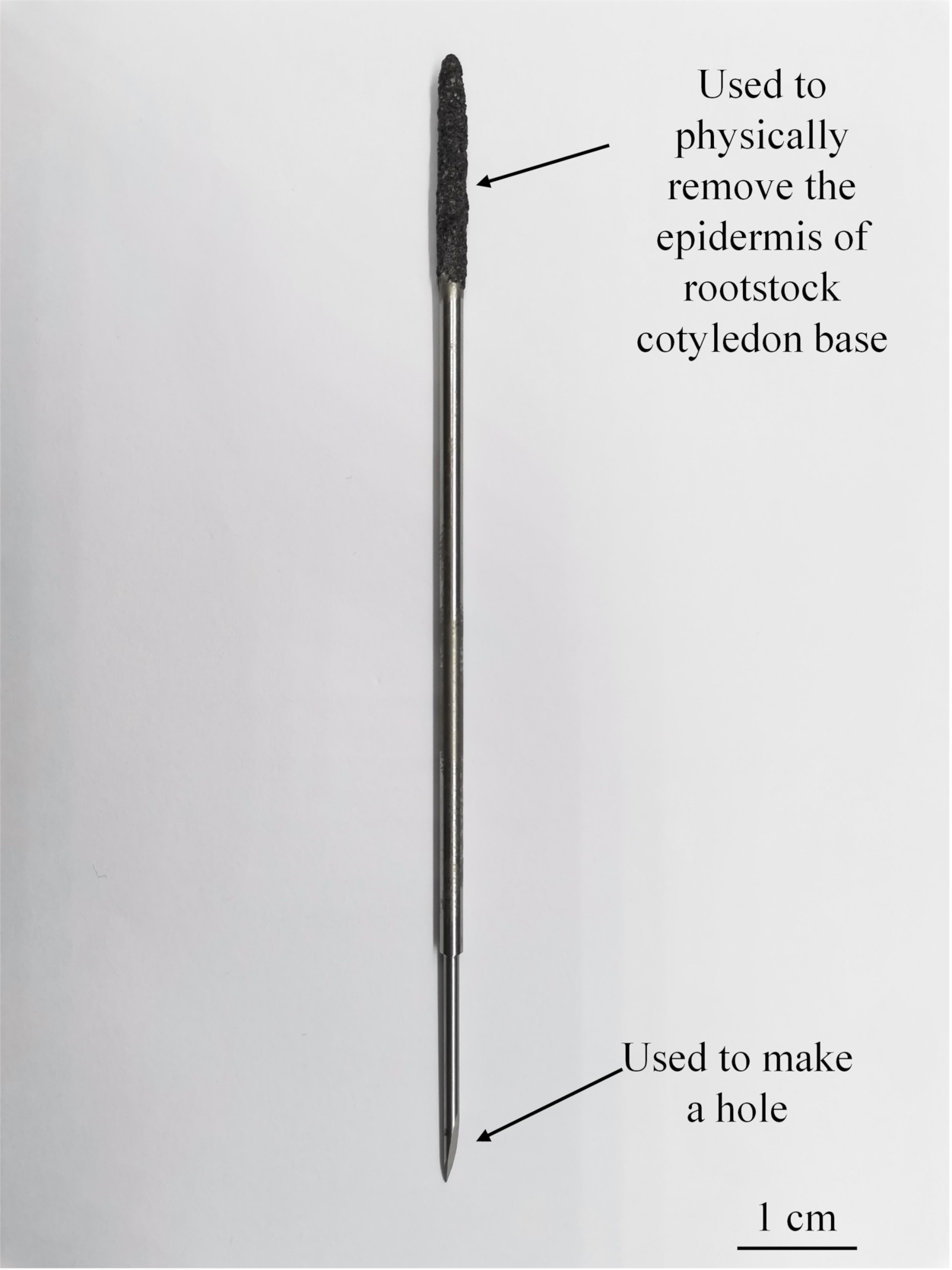 Agriculture 11 00812 g001 Agriculture 11 00812 g001