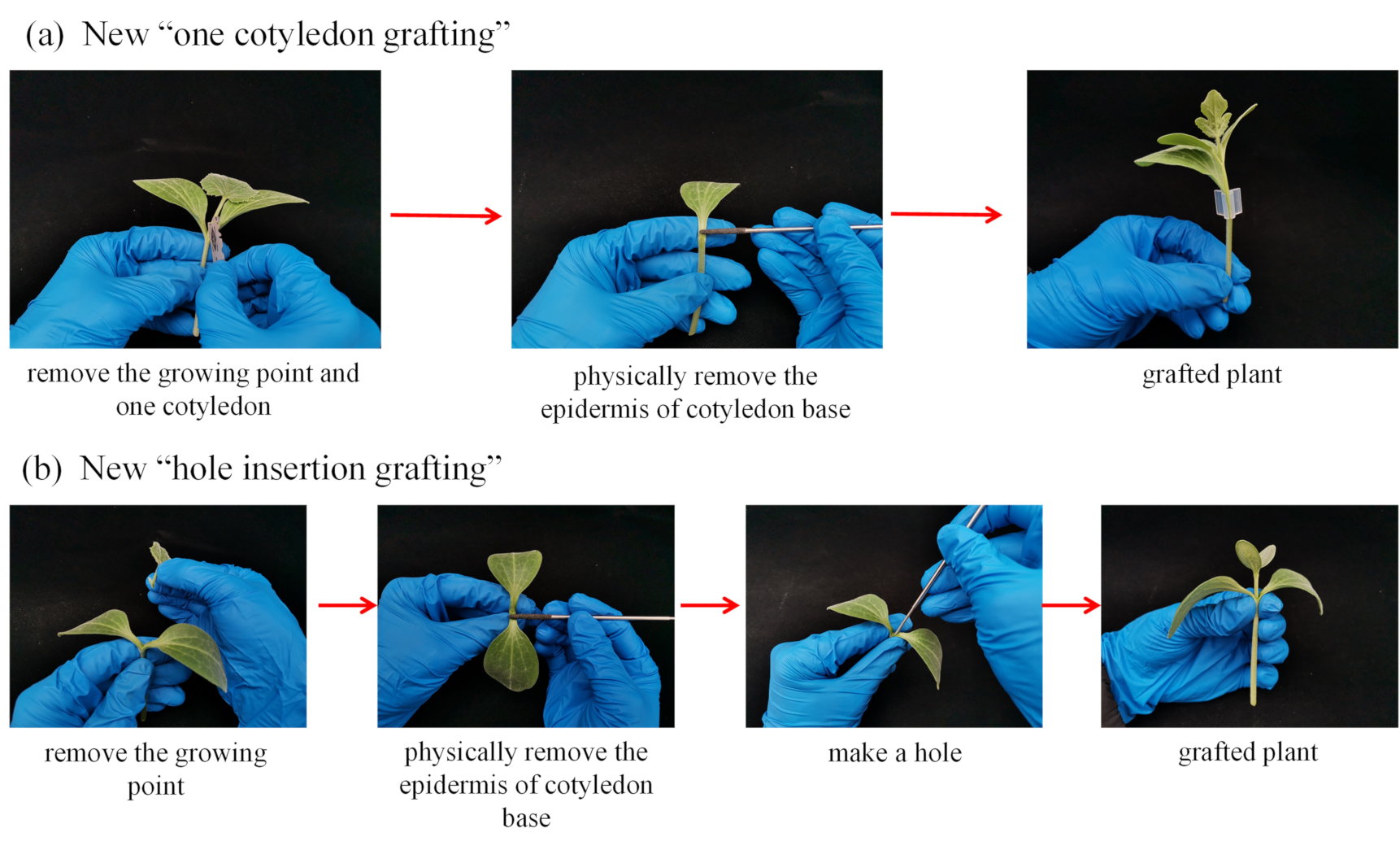 Agriculture 11 00812 g002 Agriculture 11 00812 g002