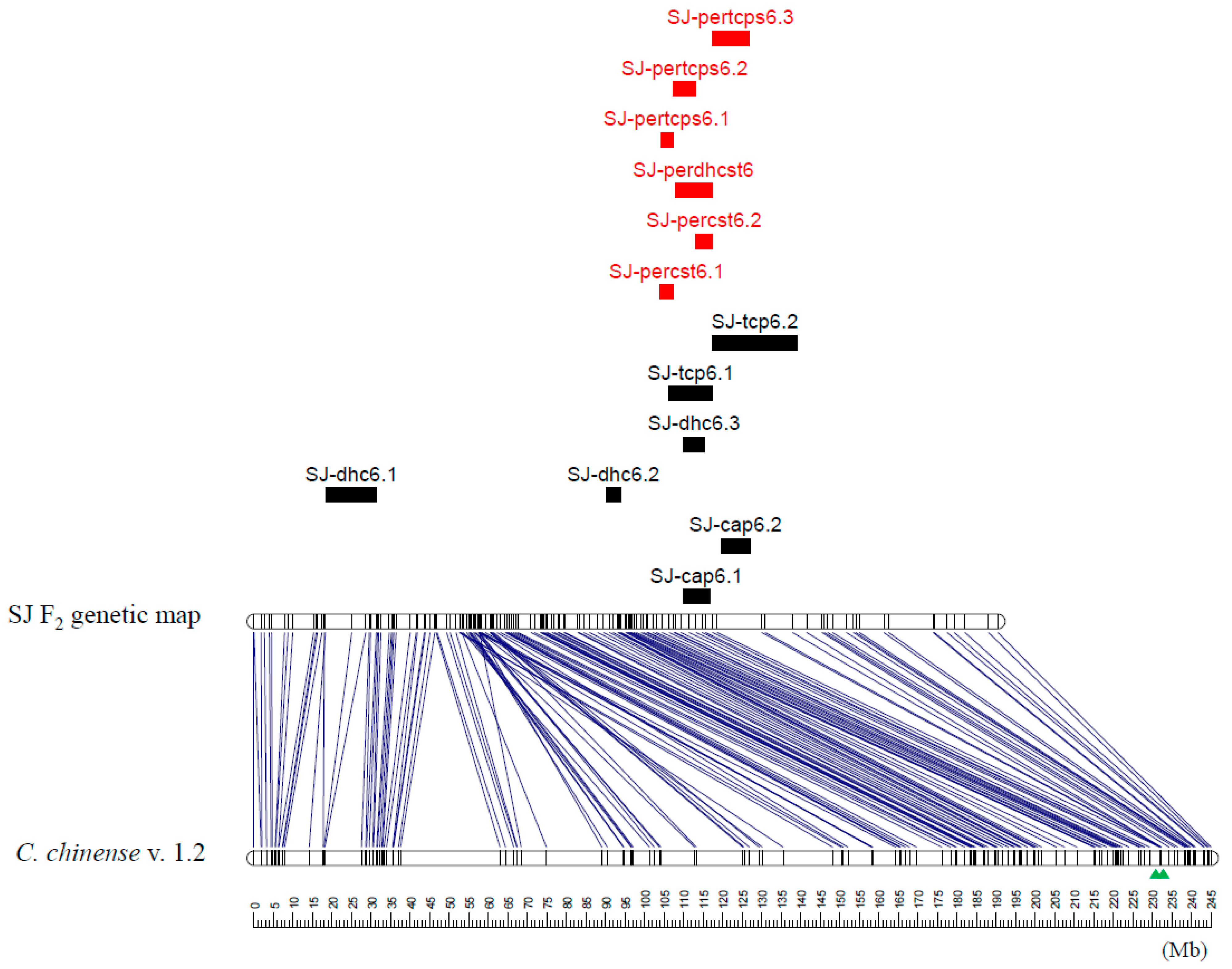 Agriculture 11 00819 g002