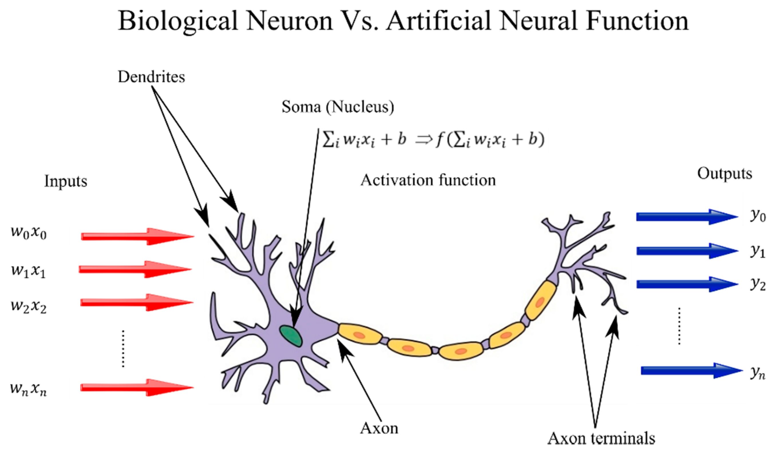 Agriculture 11 00827 g001
