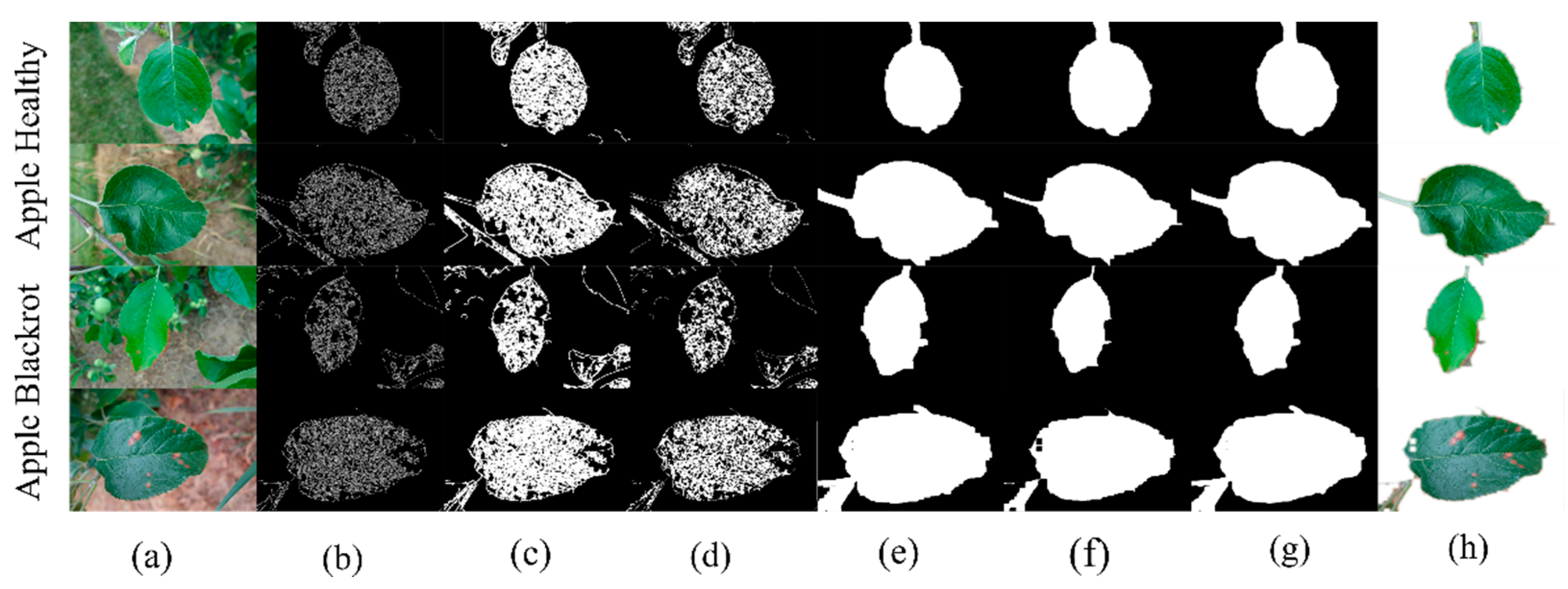 Agriculture 11 00827 g007