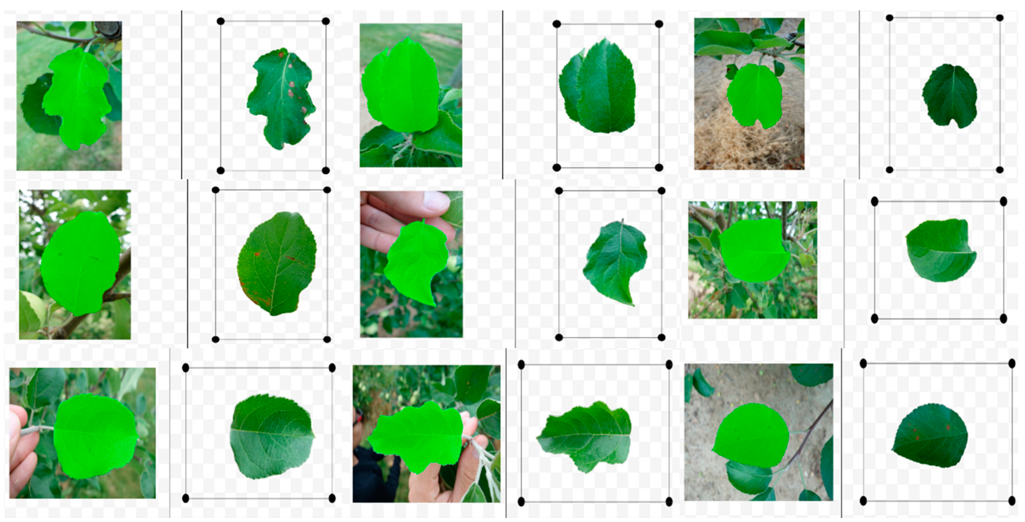 Agriculture 11 00827 g008