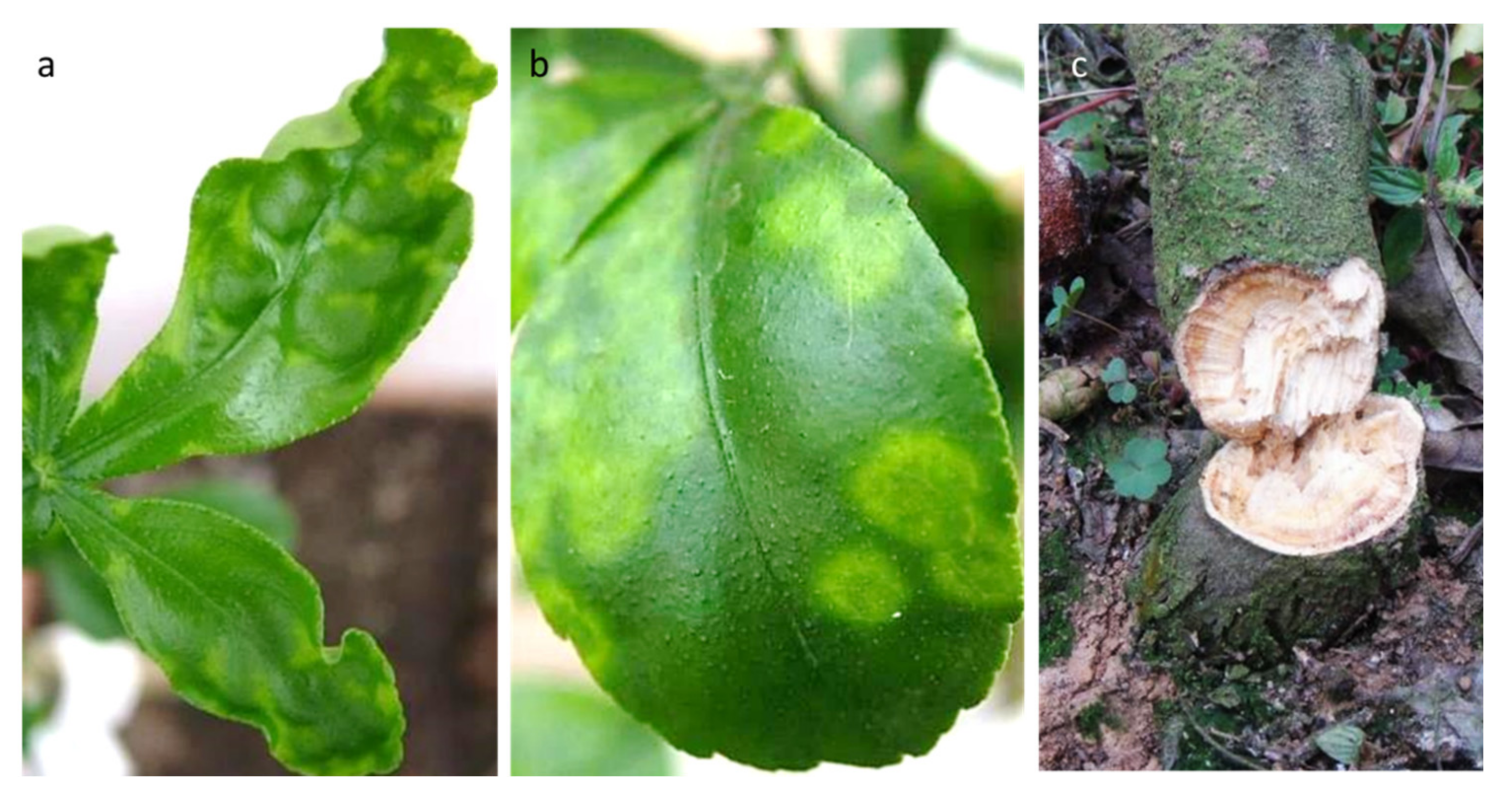 Agriculture 11 00839 g004 Agriculture 11 00839 g004