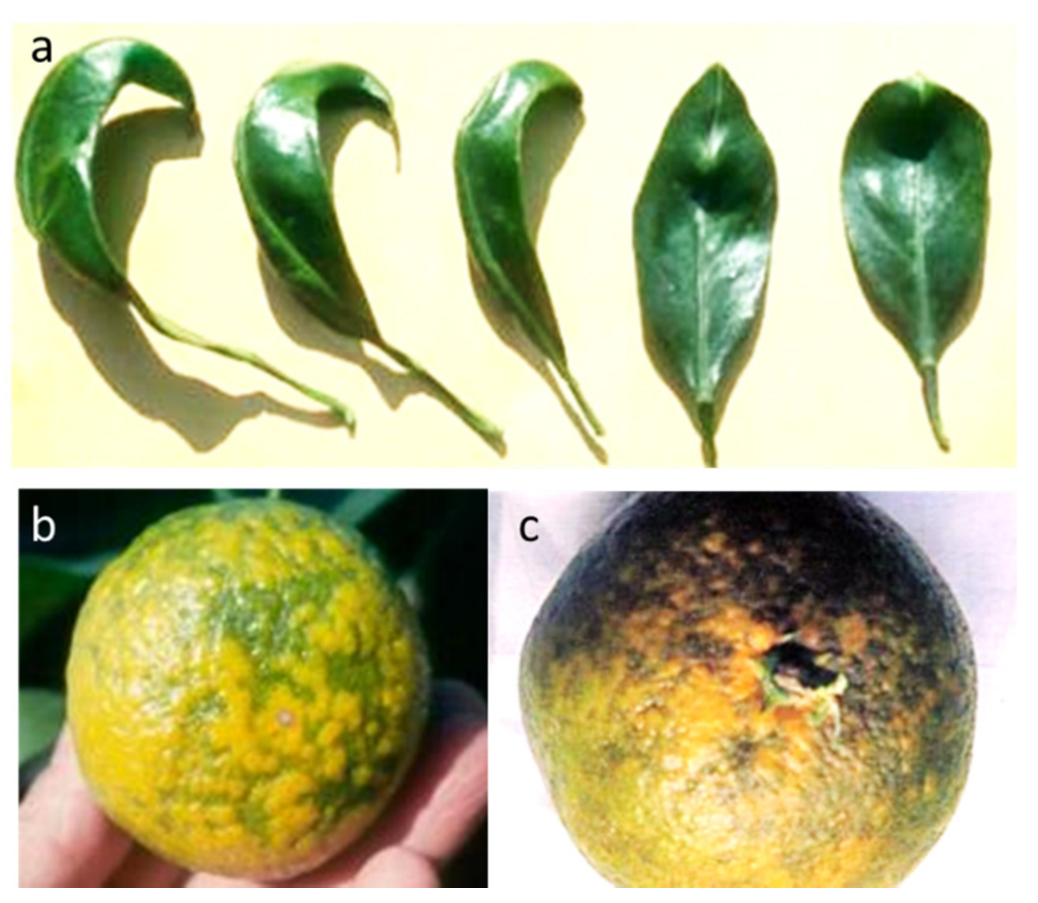 Agriculture 11 00839 g005 Agriculture 11 00839 g005