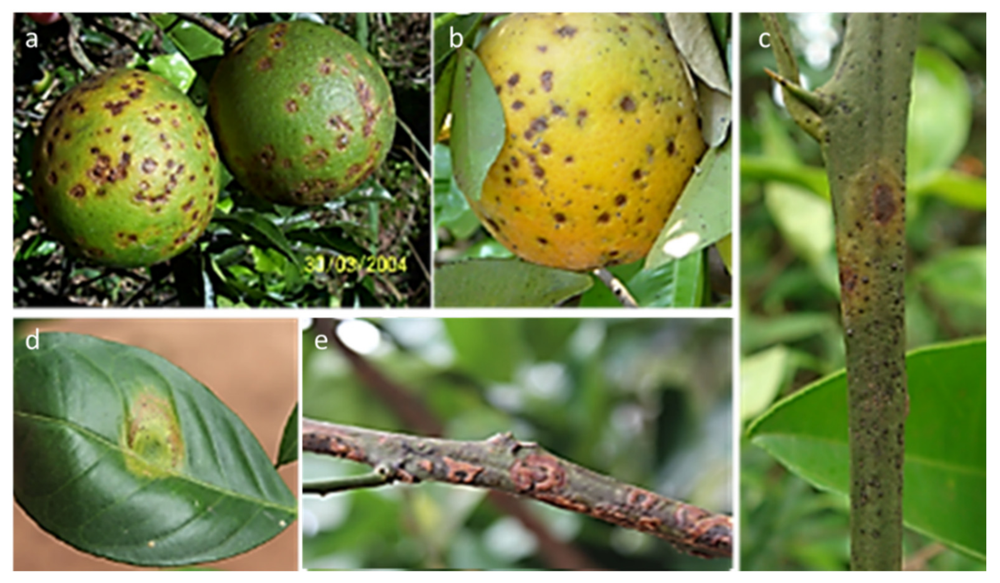 Agriculture 11 00839 g006 Agriculture 11 00839 g006