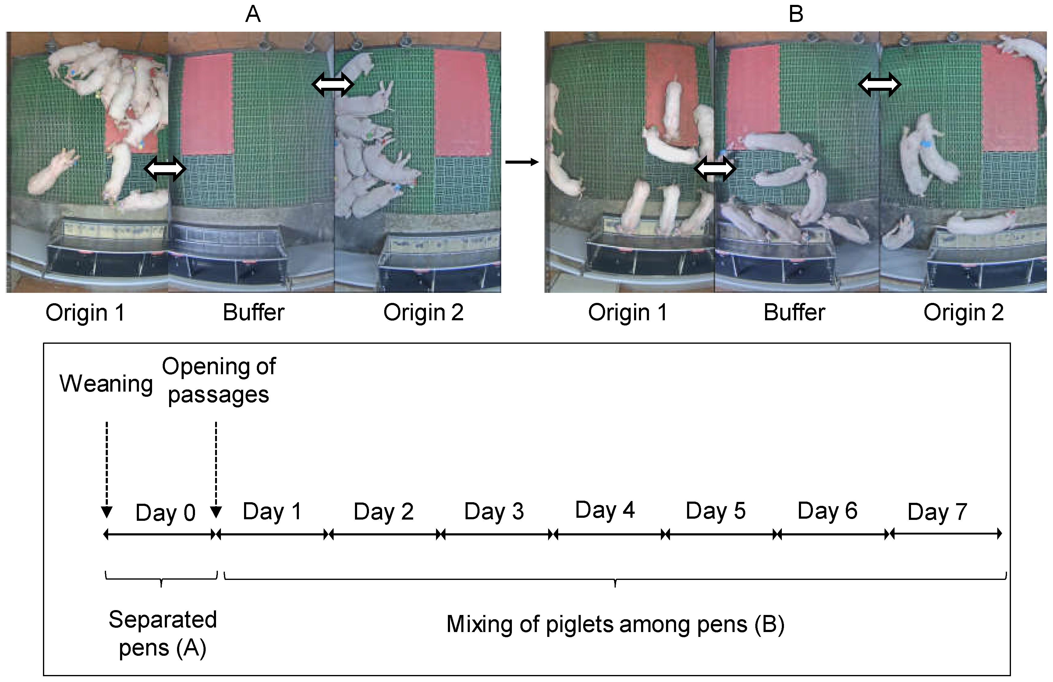 Agriculture 11 00844 g001 550