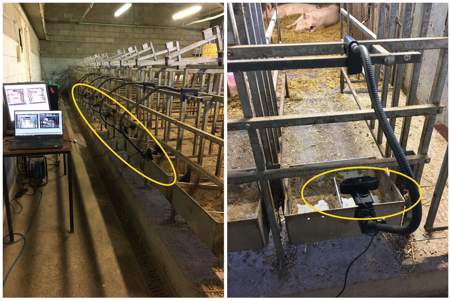 Agriculture 11 00847 g001 550