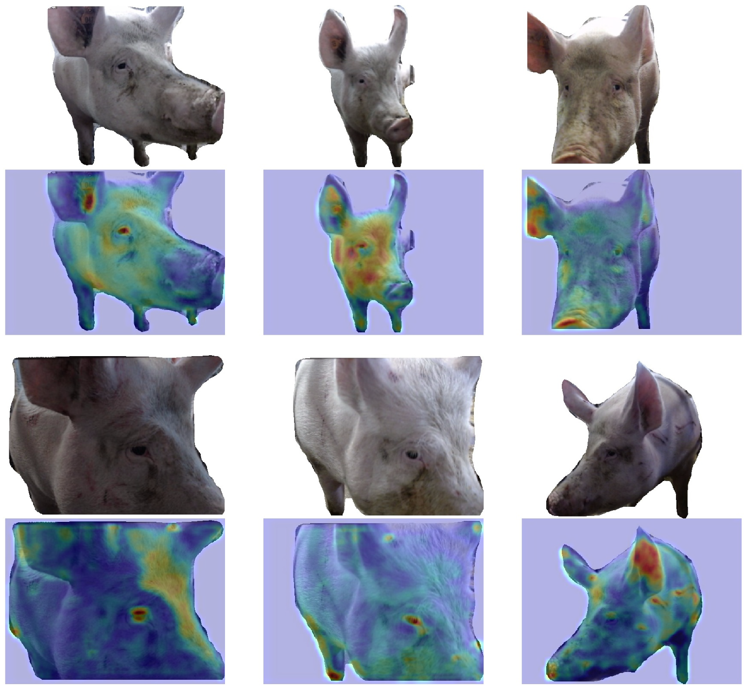 Agriculture 11 00847 g007 550