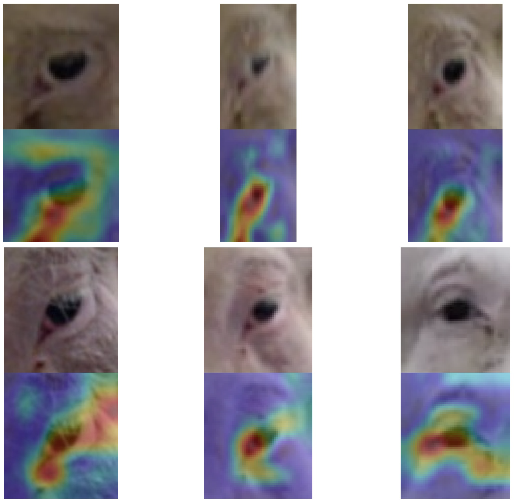 Agriculture 11 00847 g008 550