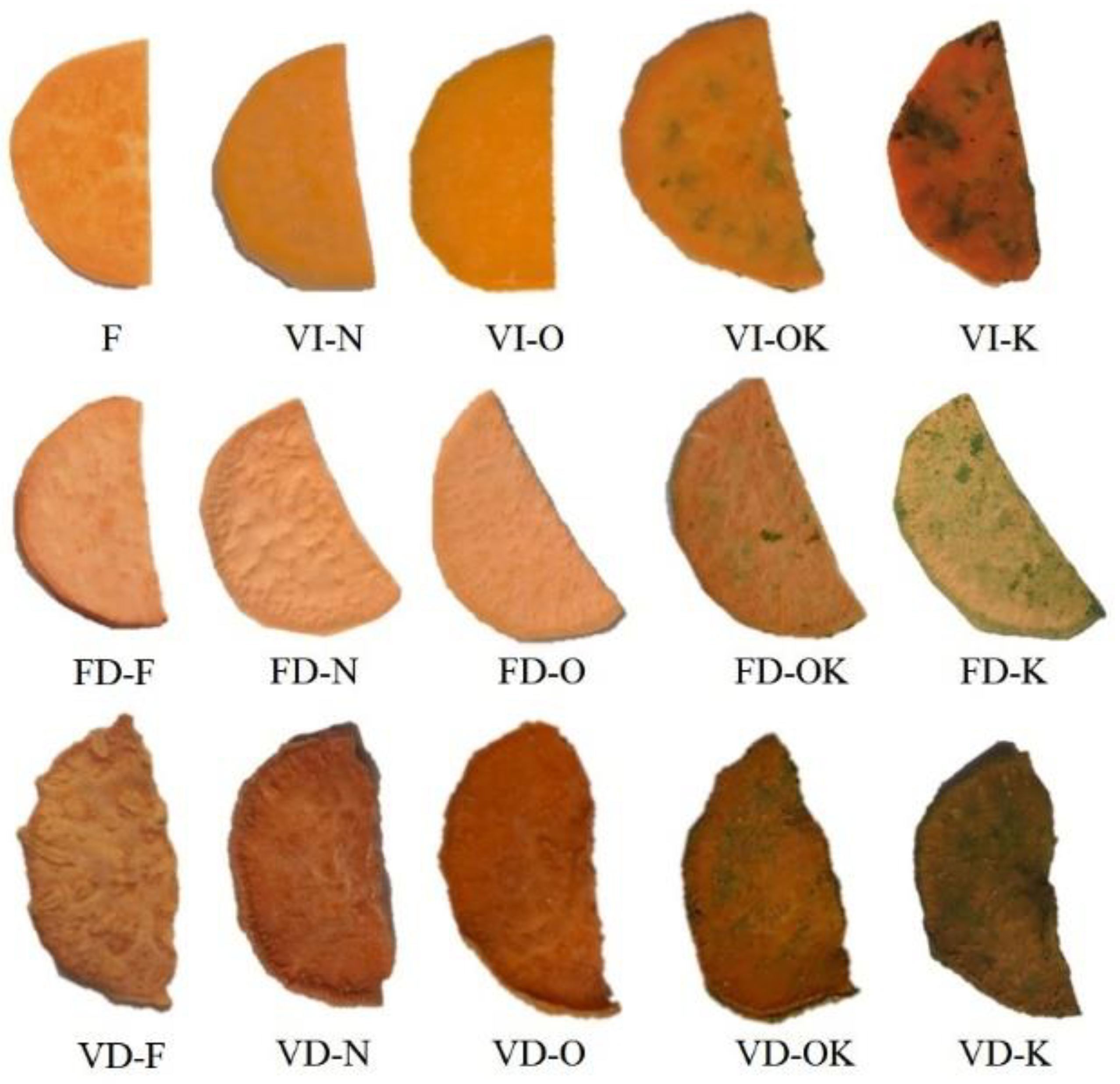 Agriculture 11 00858 g001 550