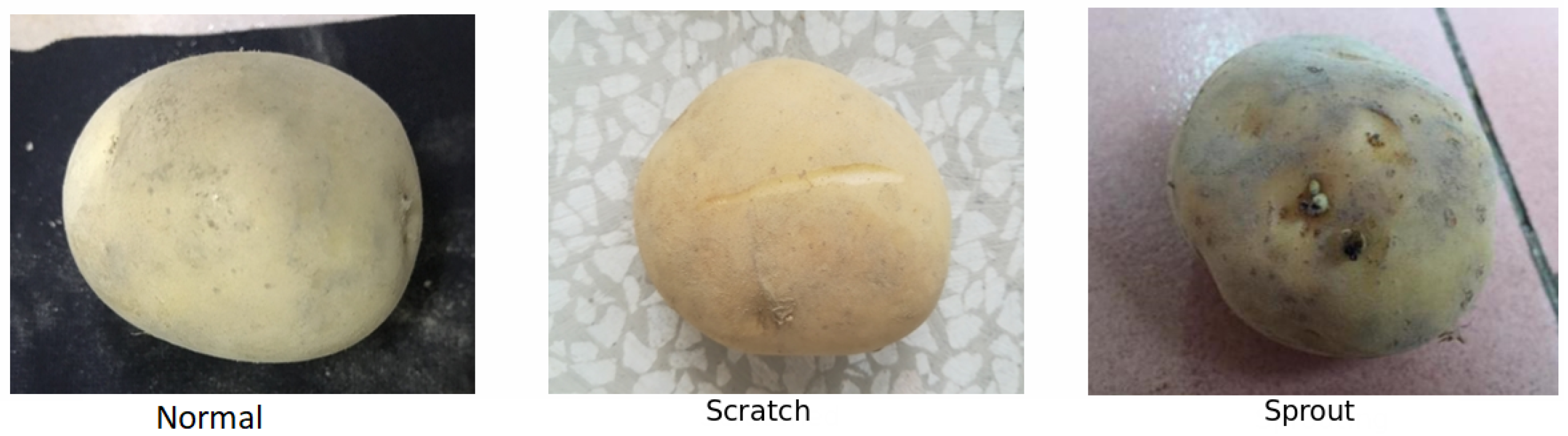 SEED Potato Surface Defect Detection Based on Deep Transfer Learning