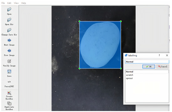 Potato Surface Defect Detection Based on Deep Transfer Learning